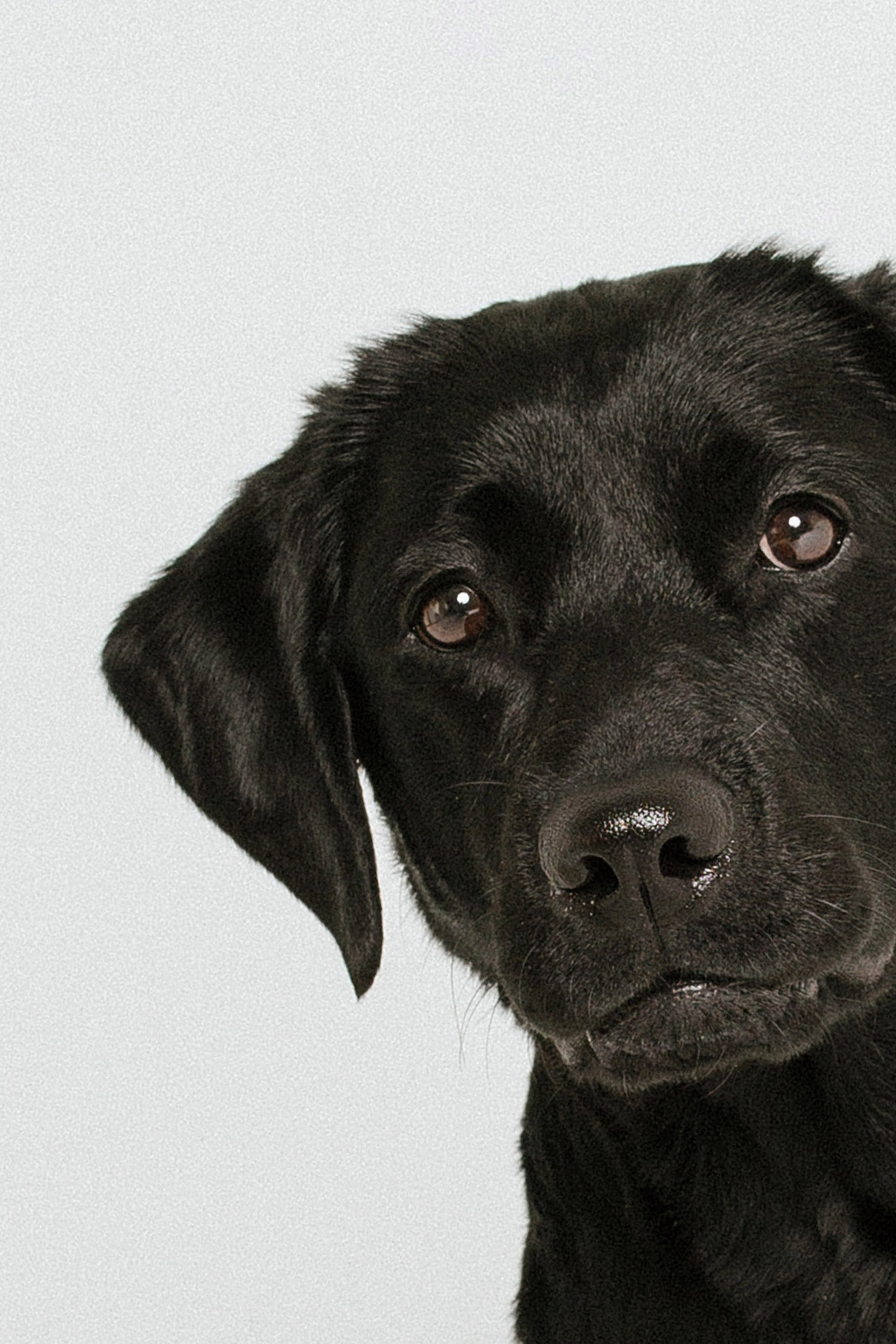 Ярослав, Александра, Данил и Юна. Семейный и женский фотограф в городе Тюмень