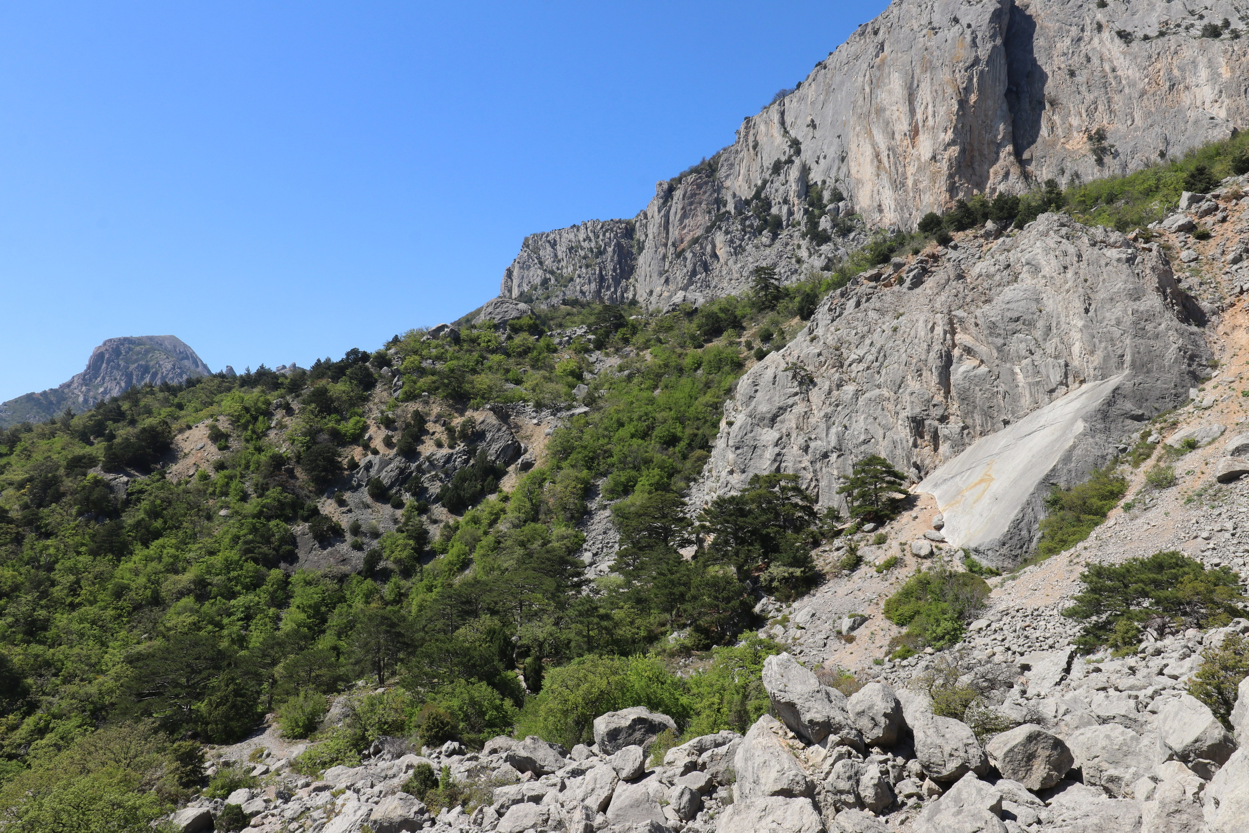 Крым. ЮБК (Севастополь, Кастрополь, Ялта). Май 2023. Путешественник-фотограф из Санкт-Петербурга Татьяна Свистулина