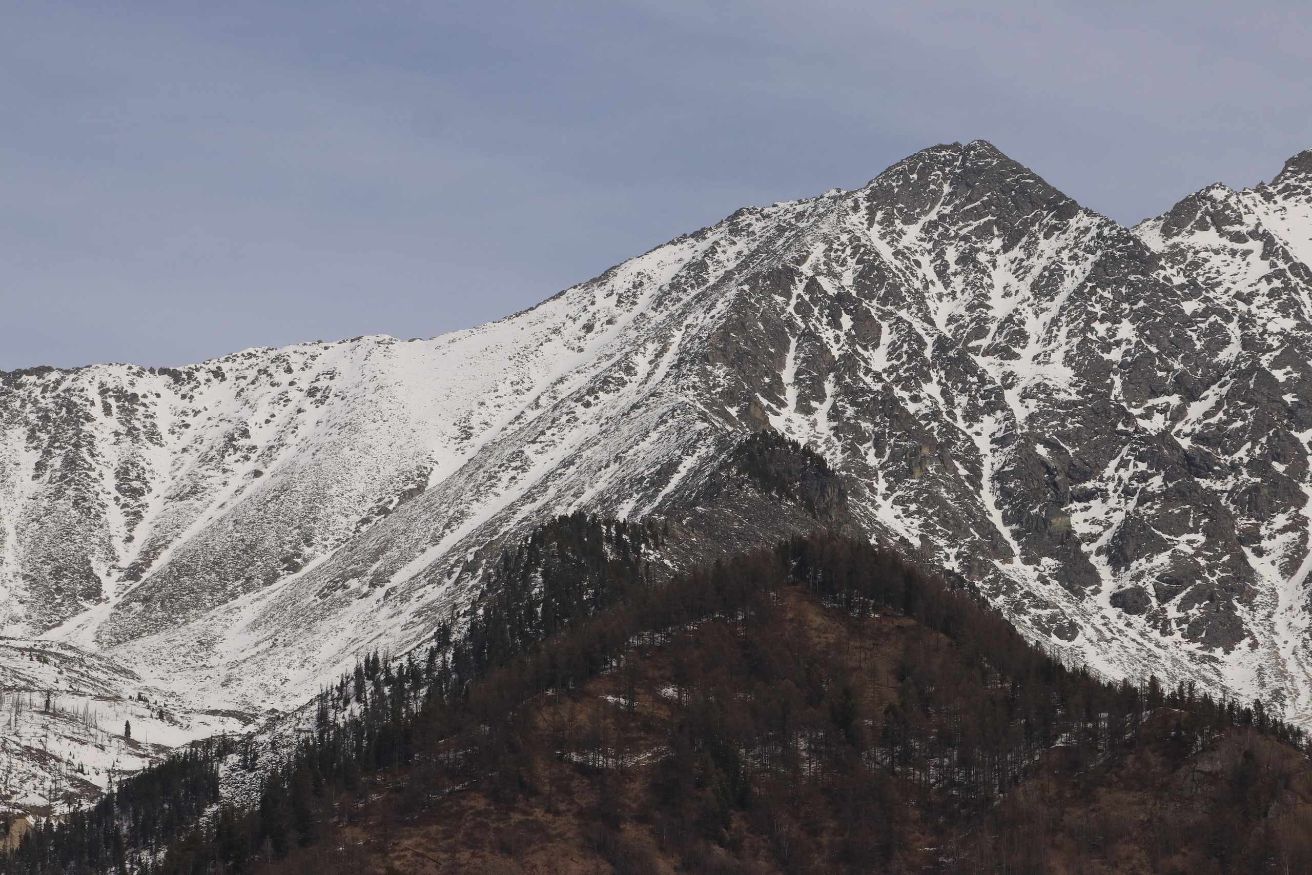 Аршан. Март 2023. Путешественник-фотограф из Санкт-Петербурга Татьяна Свистулина