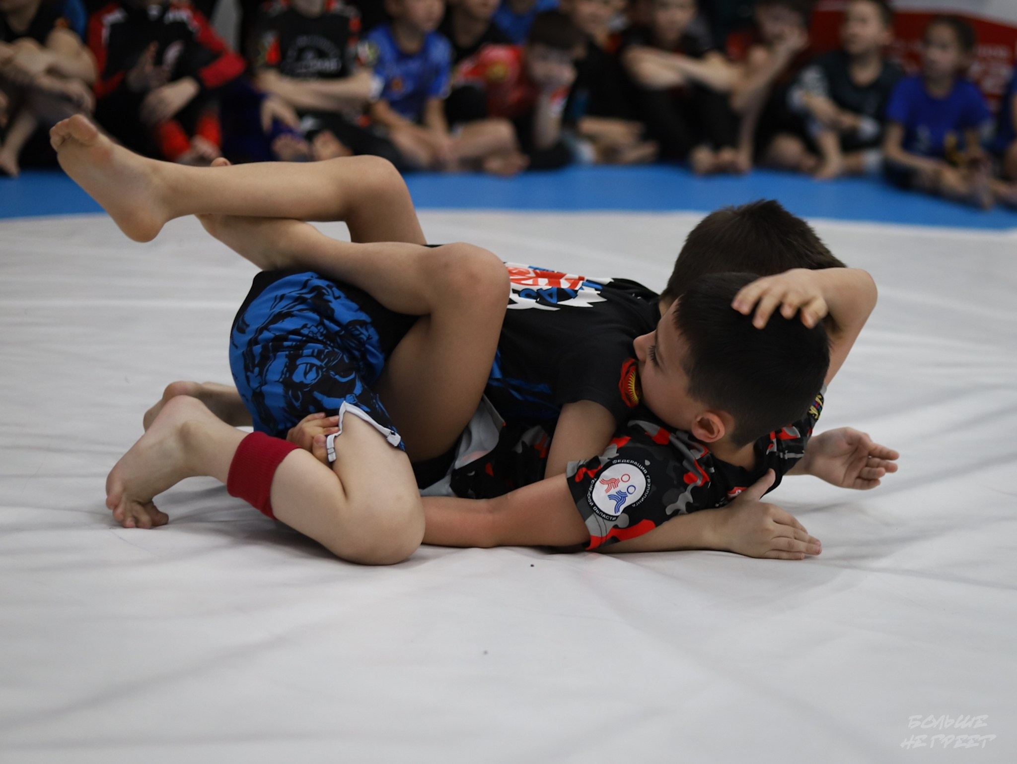 GORILLA PRIDE CUP. Больше не греет