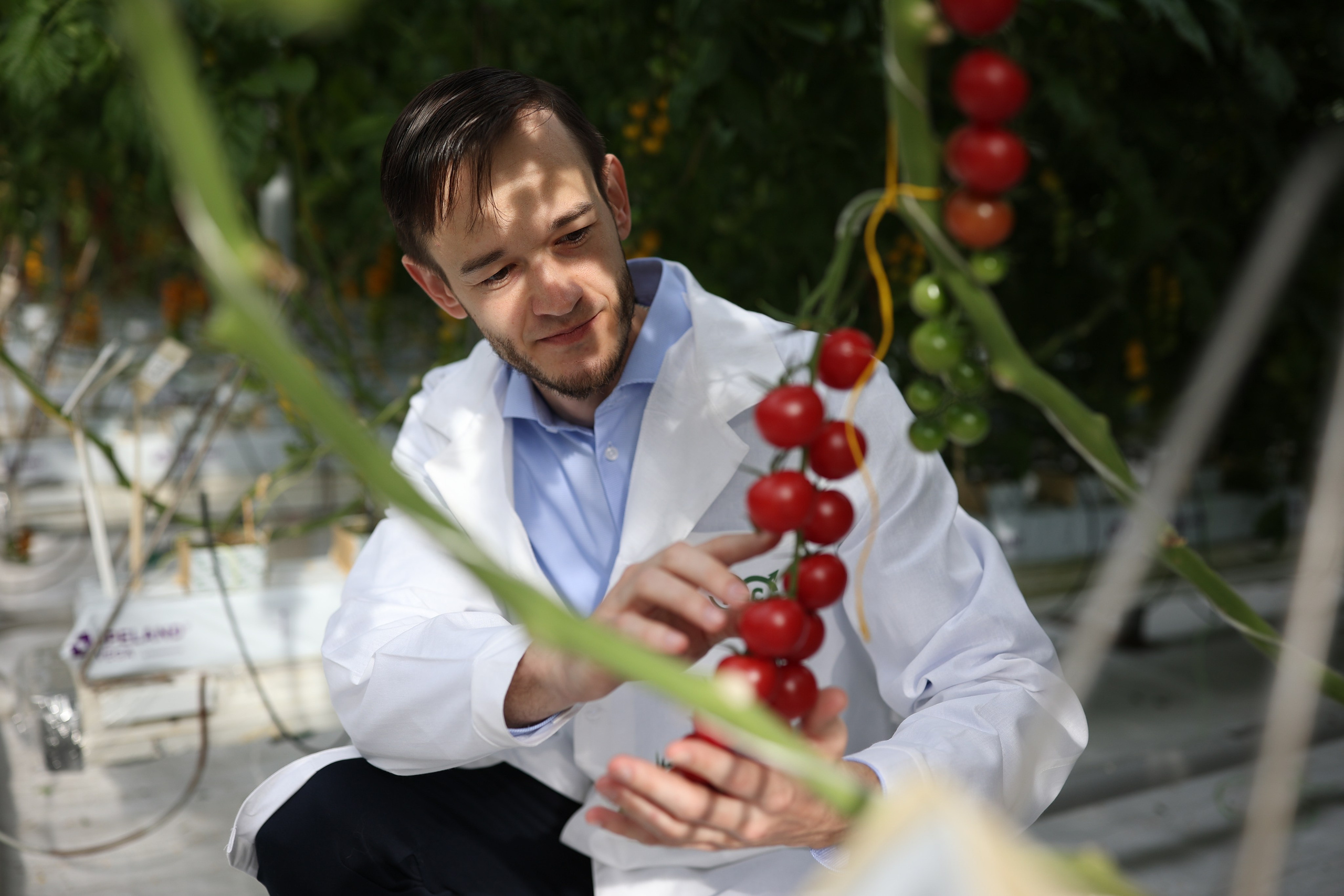 Агро. Тимкив Виталий репортажный фотограф в Краснодаре