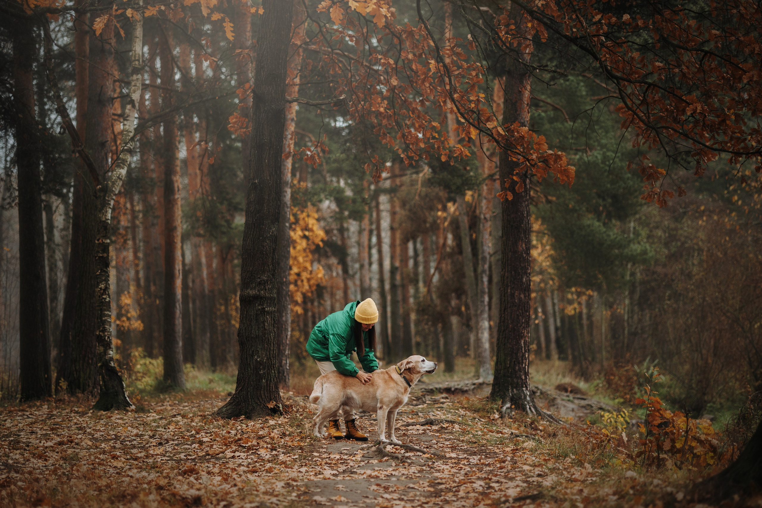 Оксана и Барон. Фотограф — Анималист | Санкт-Петербург