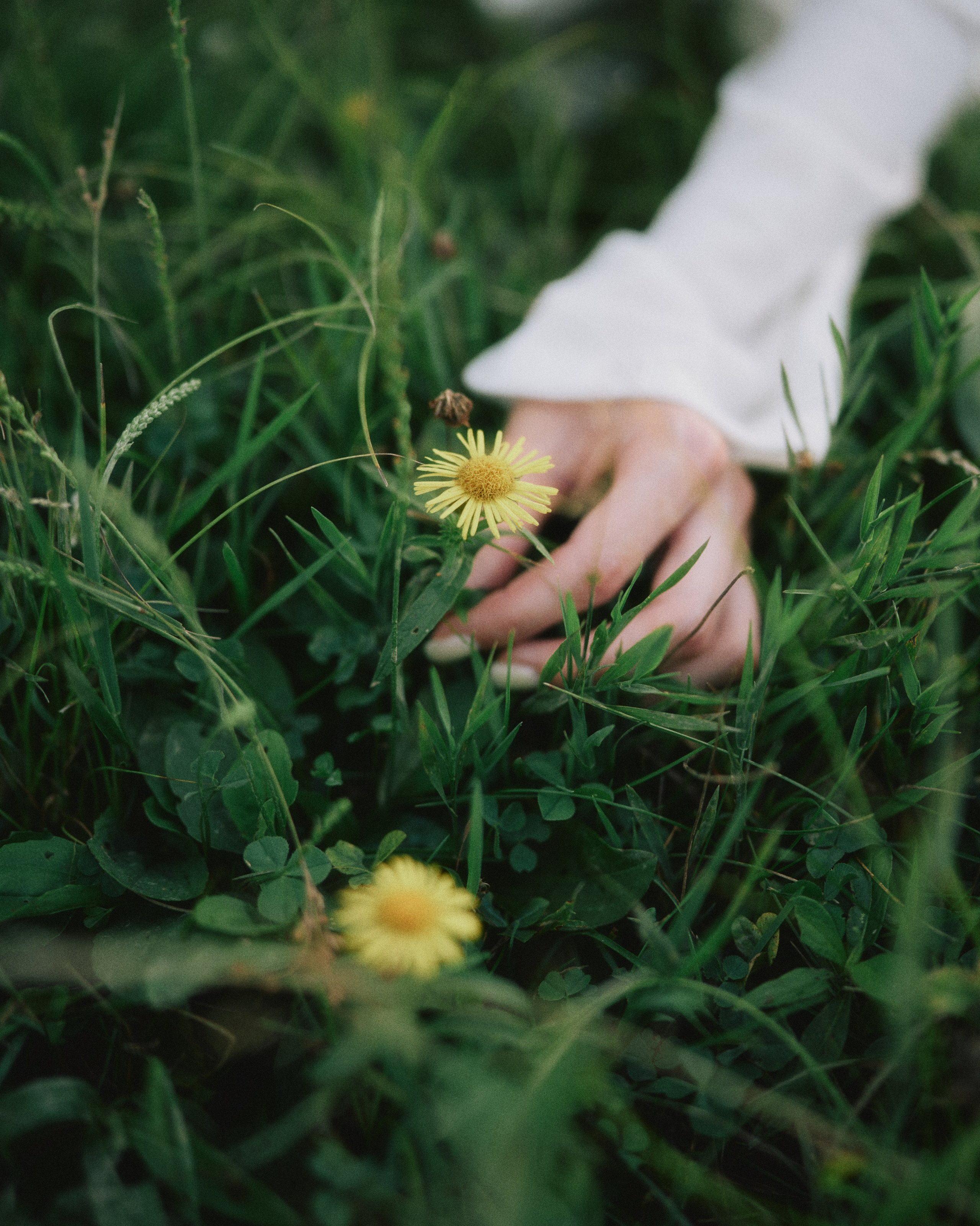 Женский портрет на природе — естественный свет и красота. Фотограф в Хабаровске Дмитрий Лемешков