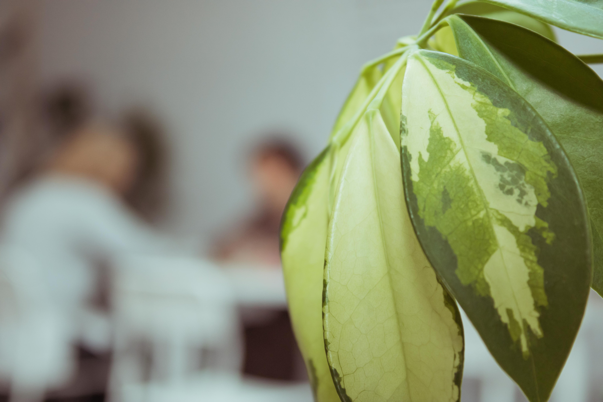 Код рисунка. Фотограф Никита Медведев