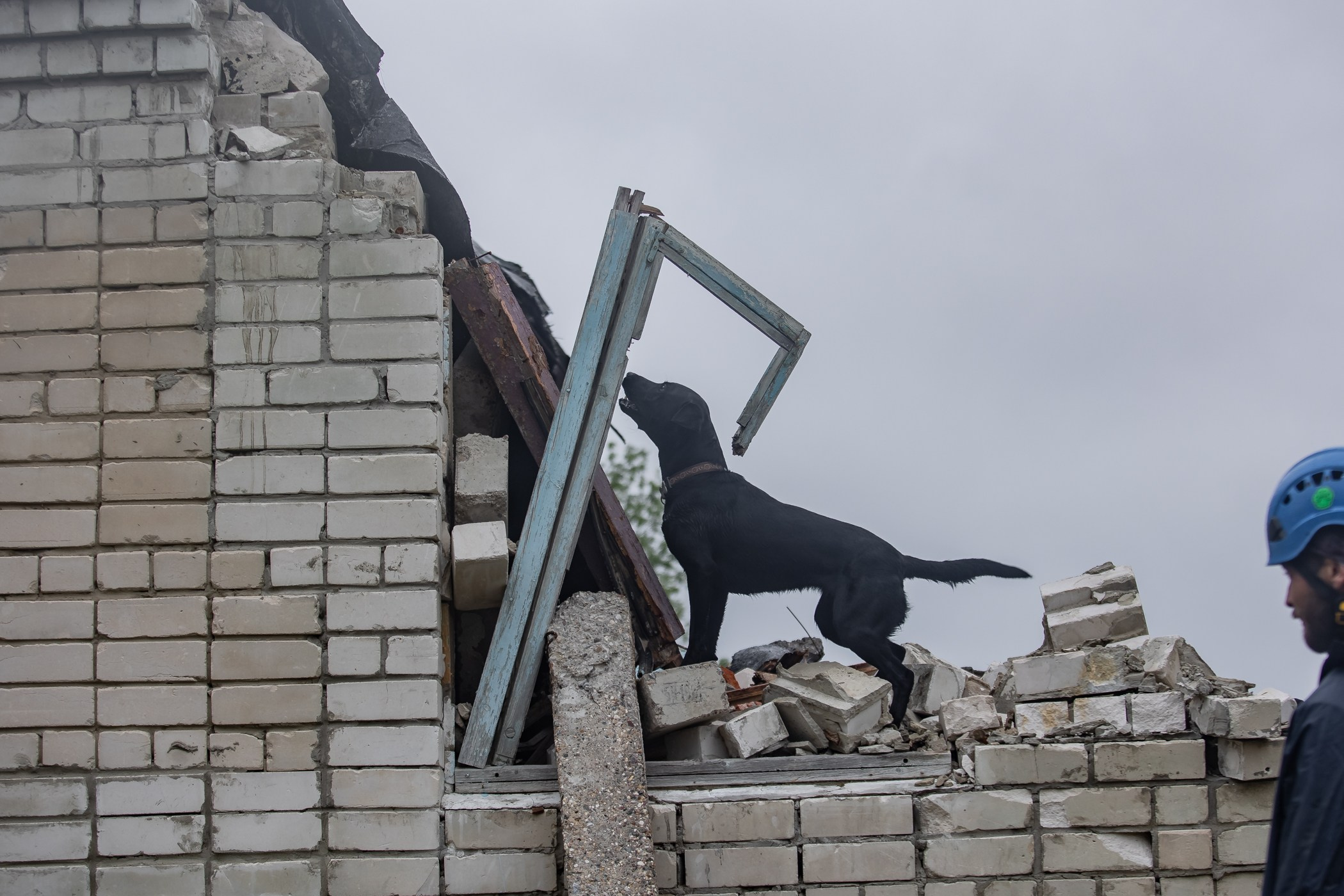 ПСС Соревнования в Нижегородской области г. Чкаловск 2023-04-28. Фотограф Ирина Астор