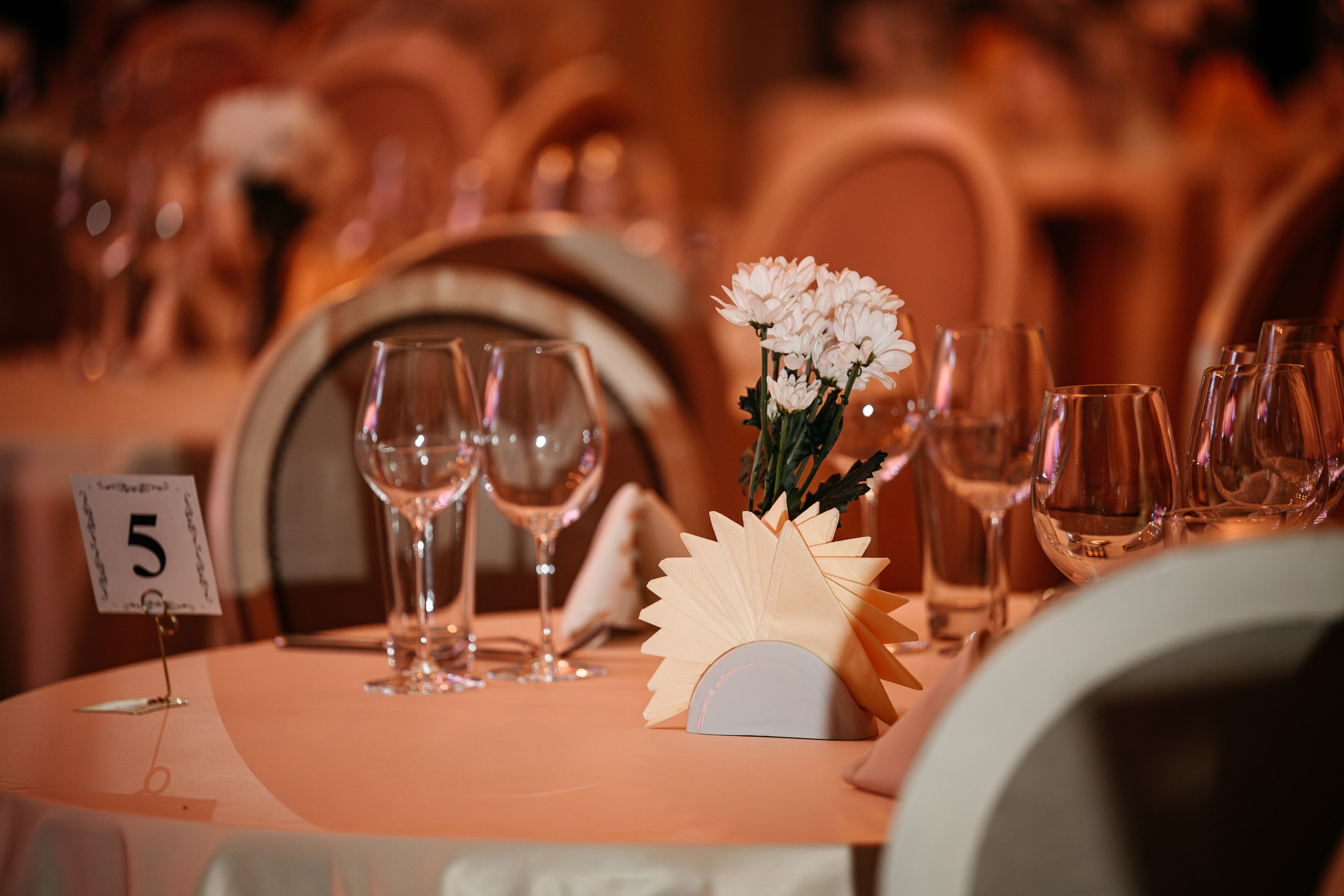 Kedr Hall. Юбилей 9 лет. Фотограф Владивосток. Игорь Кирсанов