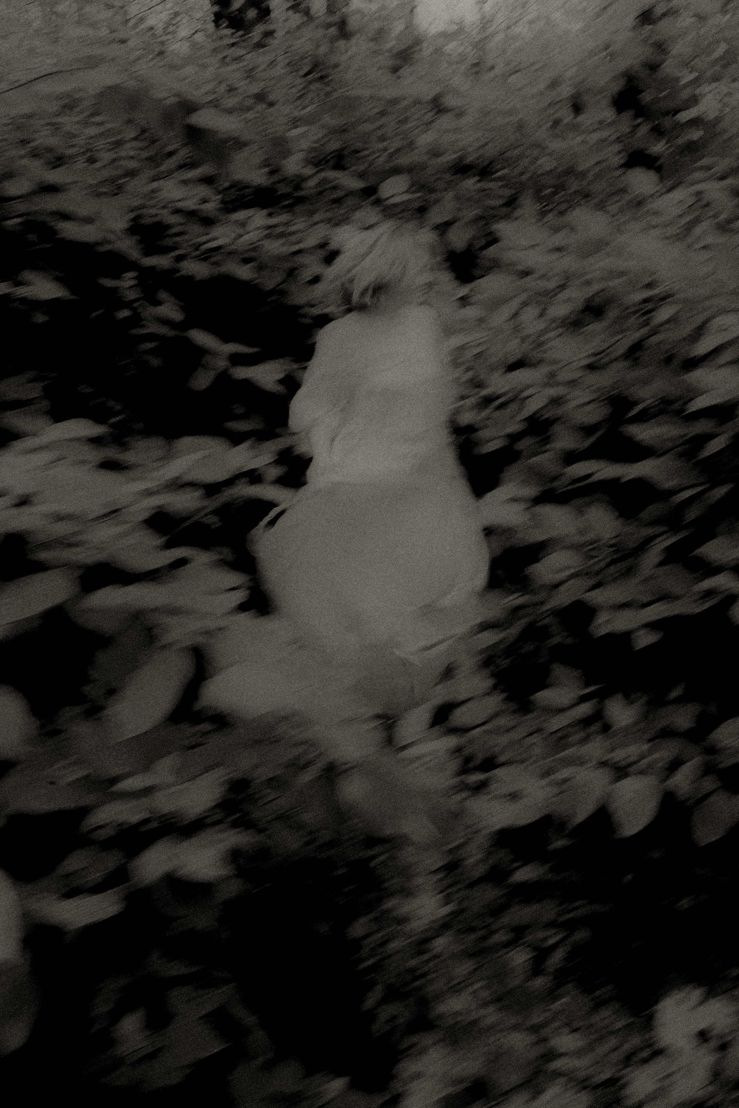 Portraits. Фотограф Ника Оксенчук