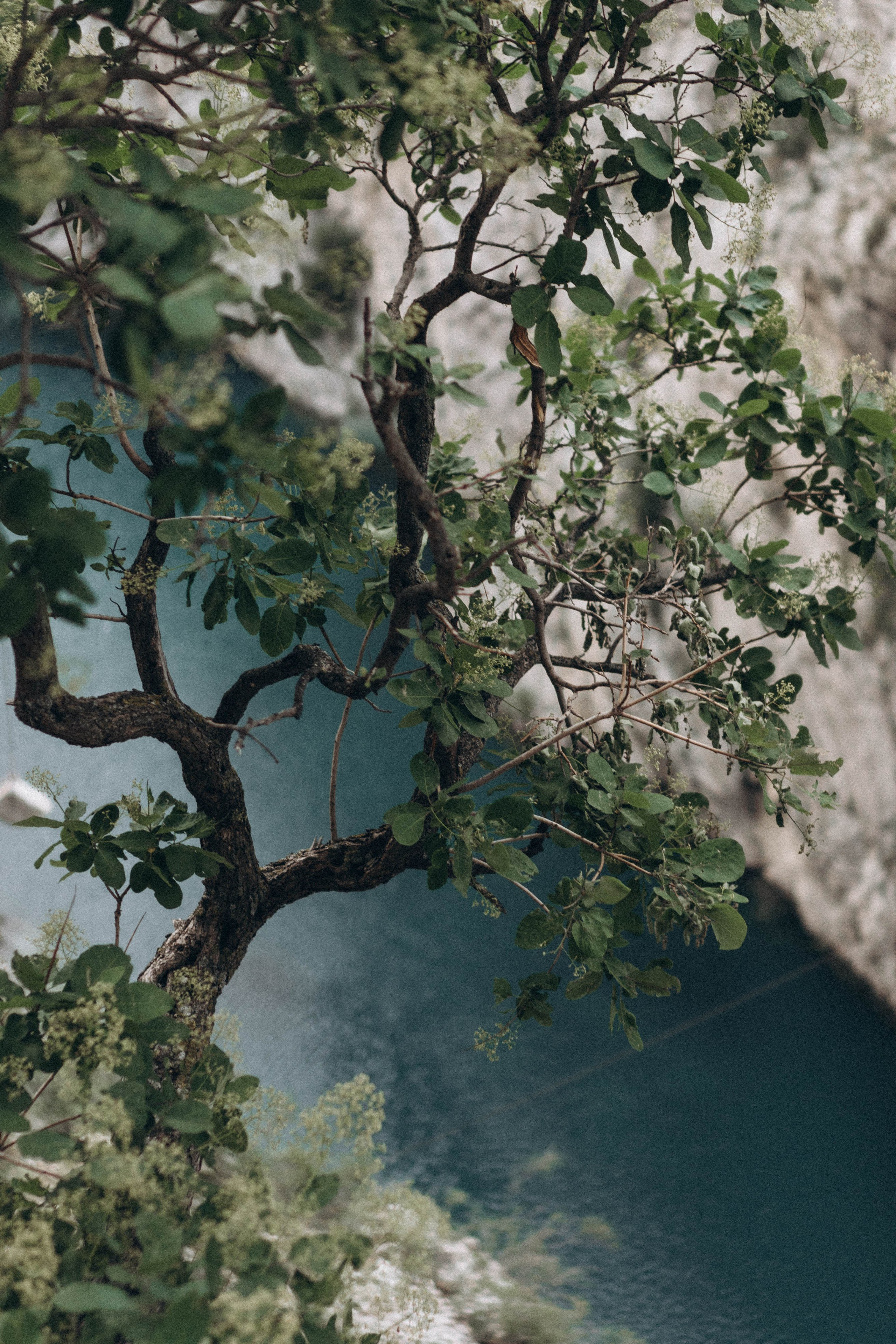 Кавказ. Профессиональный фотограф, Санкт-Петербург — Виктория Богомолова