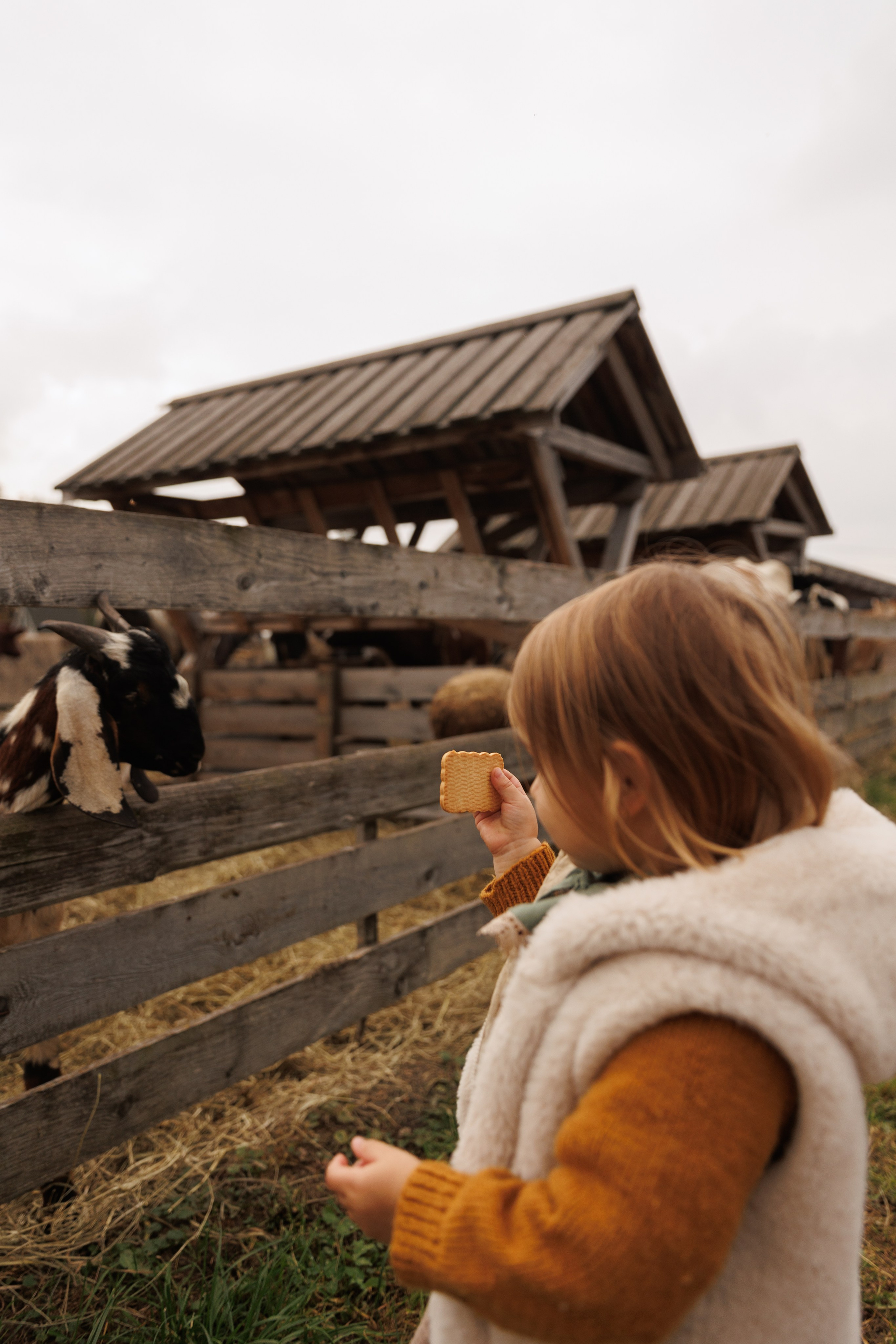 Осенняя прогулка (село Остров). Фотограф в Красногорске и Москве