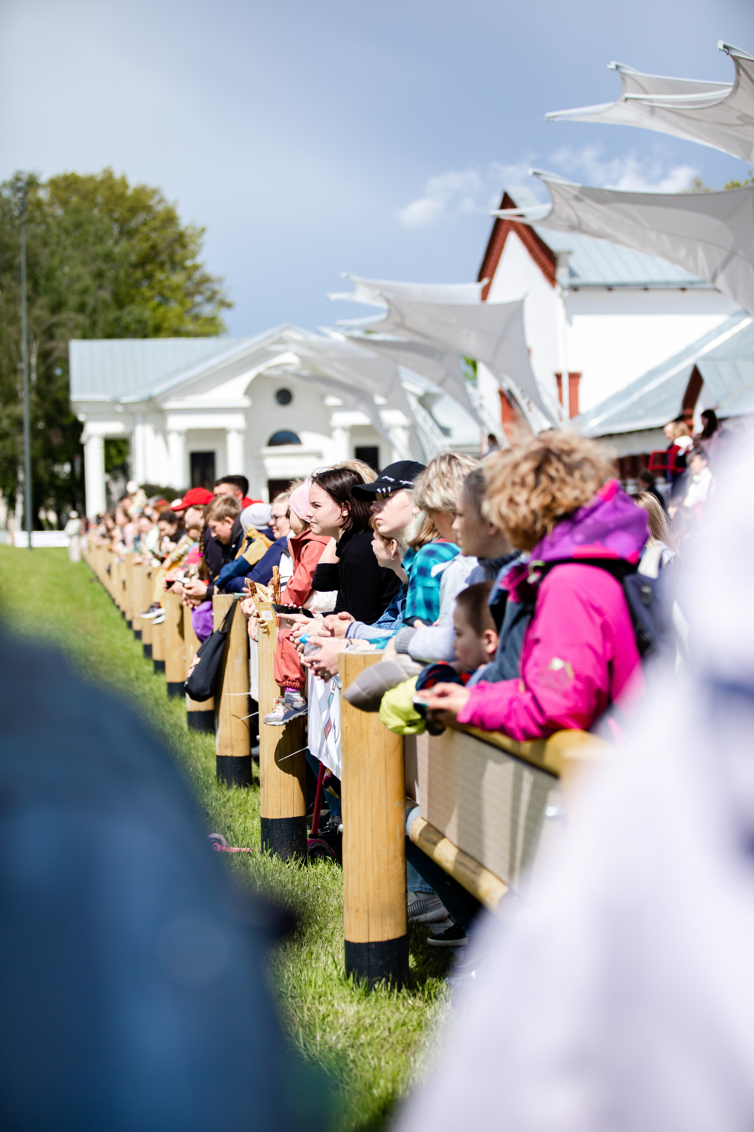 Турниры. Veronika Makeeva horse photo