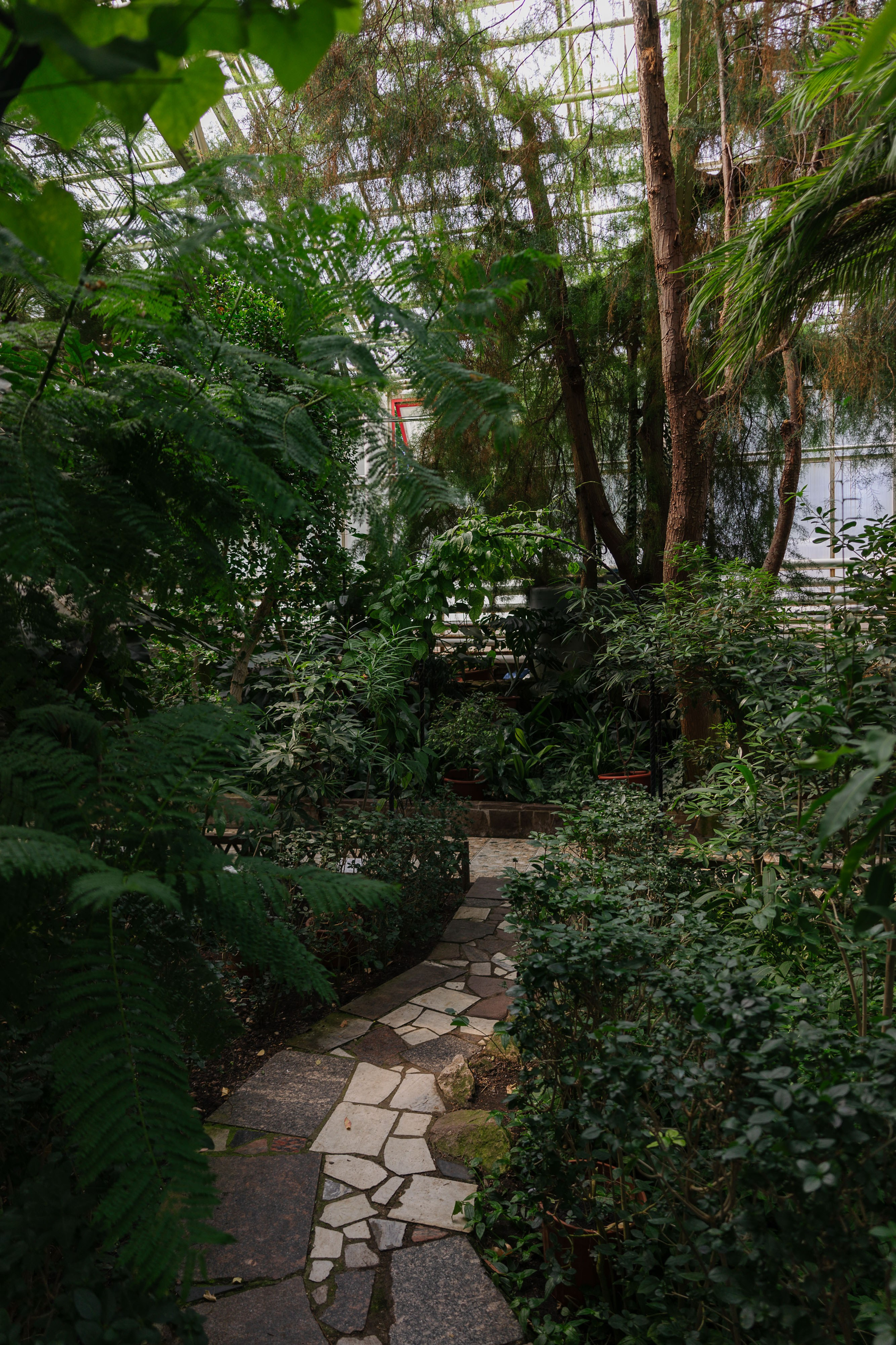 Ботанический сад Уфа. Оранжерея Уфа