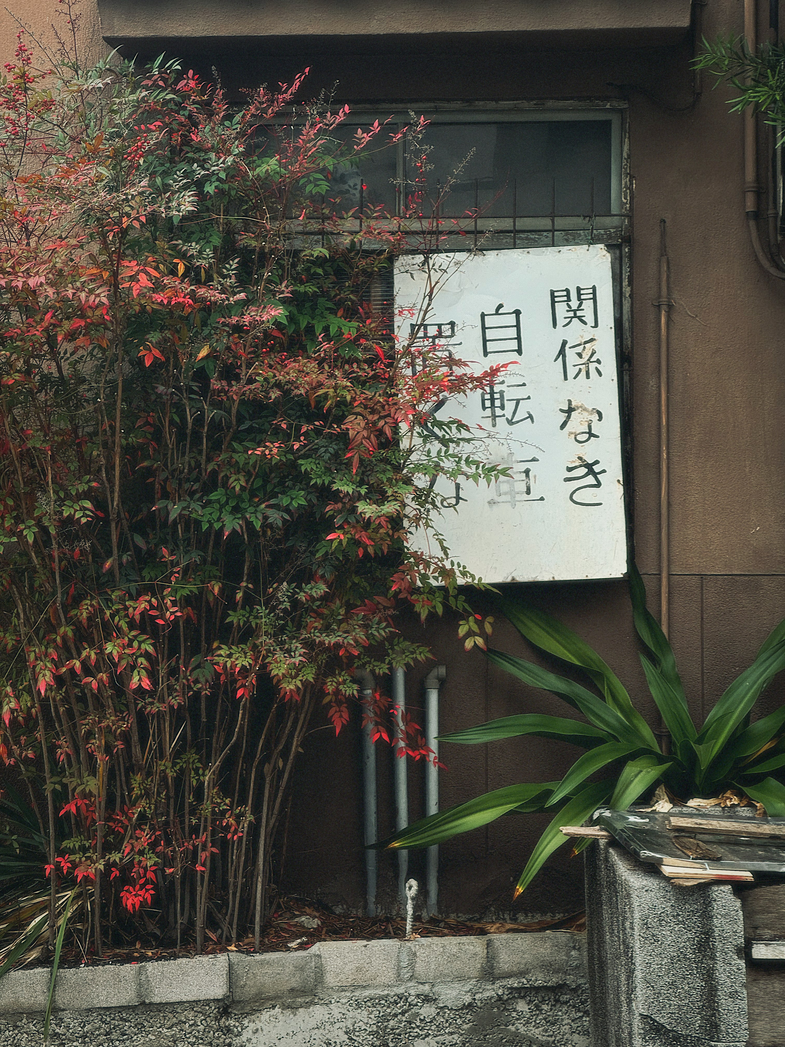 TRAVELERS: гайды, фото из путешествий, личные рекомендации