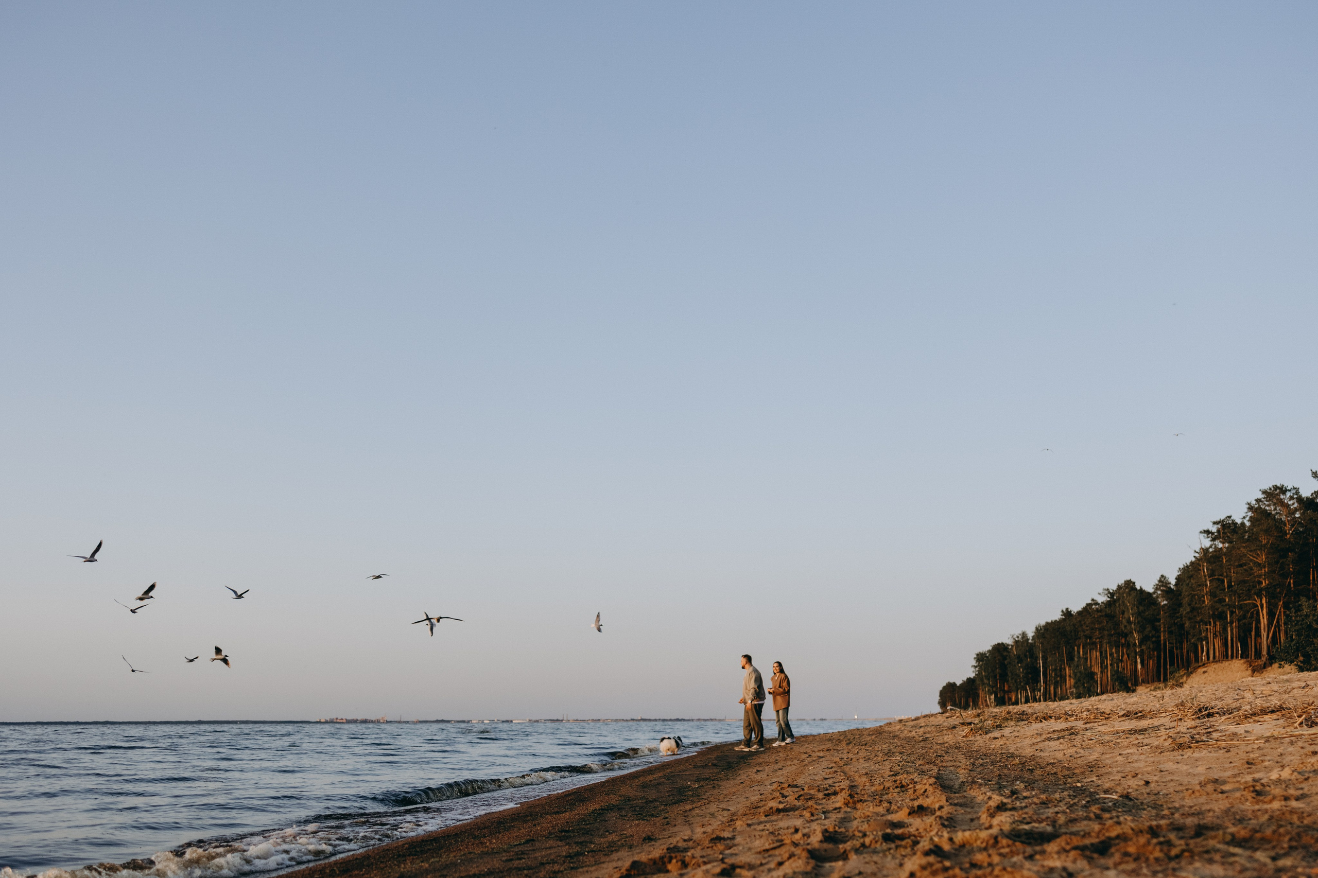 Диана и ее мальчики. Фотограф — Анималист | Санкт-Петербург