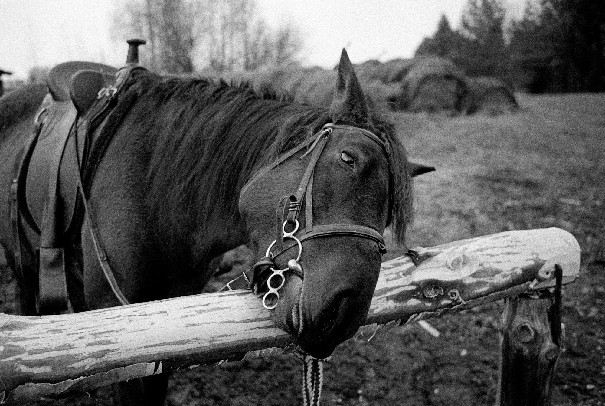 Кострома Blues. Документальный фотограф Алексей Мякишев, Москва