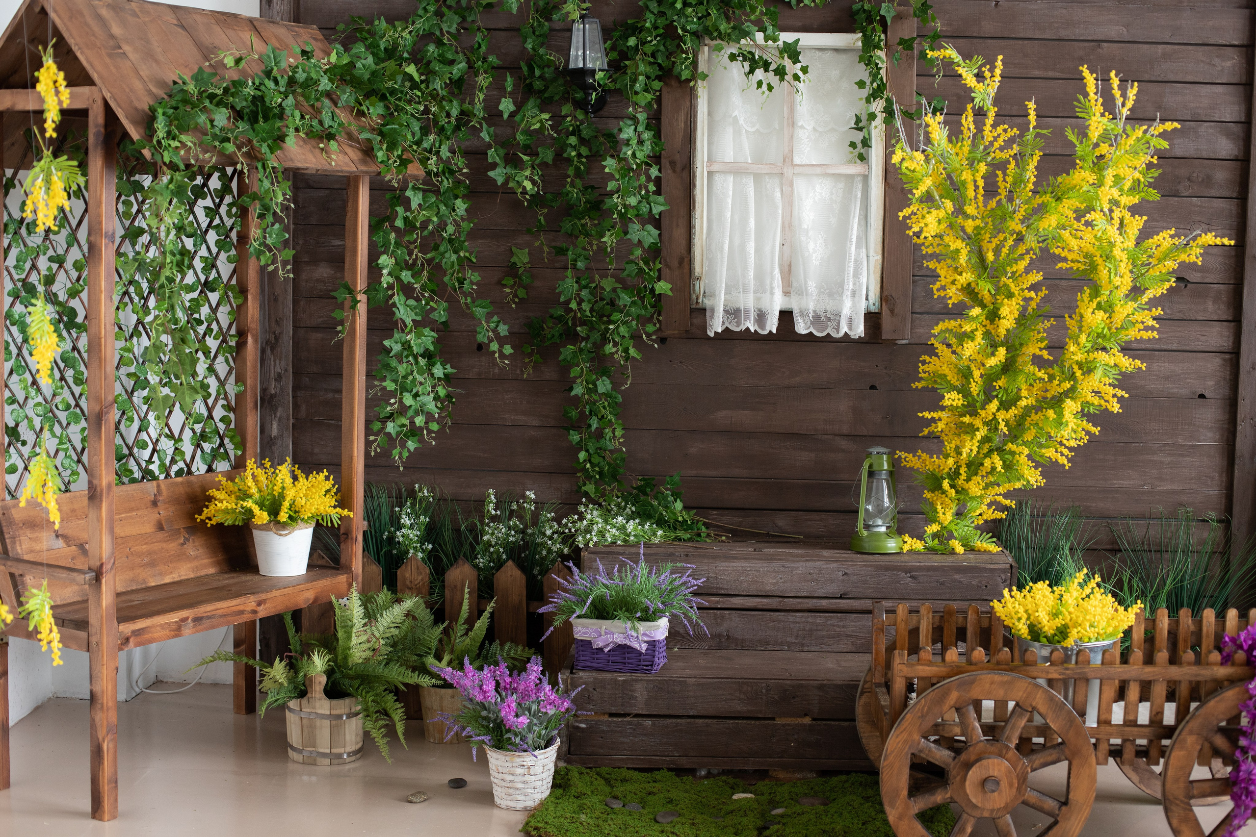 Буфет (студия Зеркало). Фотограф г. Хабаровск. Семейные и индивидуальные съёмки