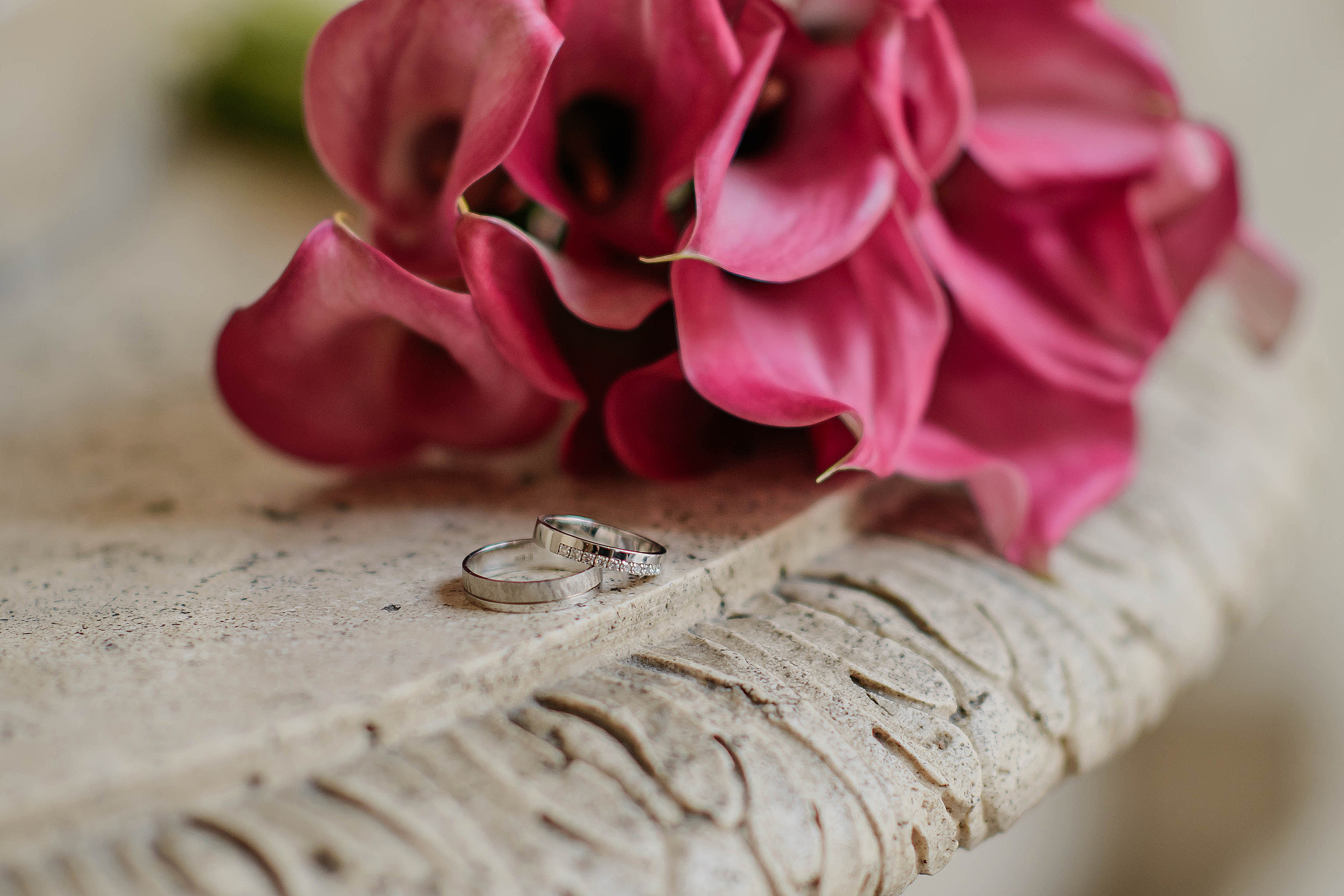 04.07.24. Свадебный и семейный фотограф в г. Москва Ирина Гаврилова