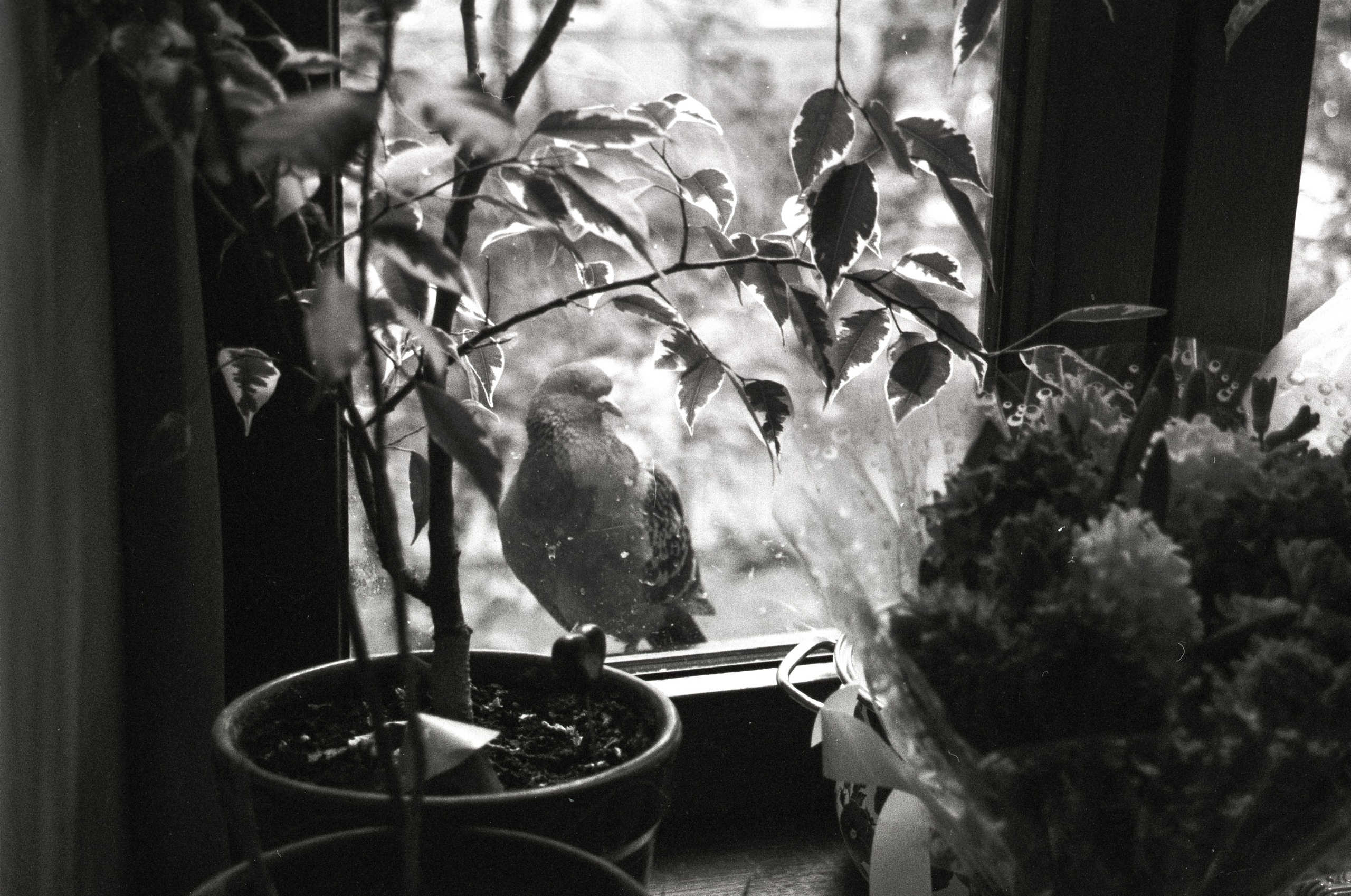 Свадьбы. Портретный и ивент-фотограф в Москве