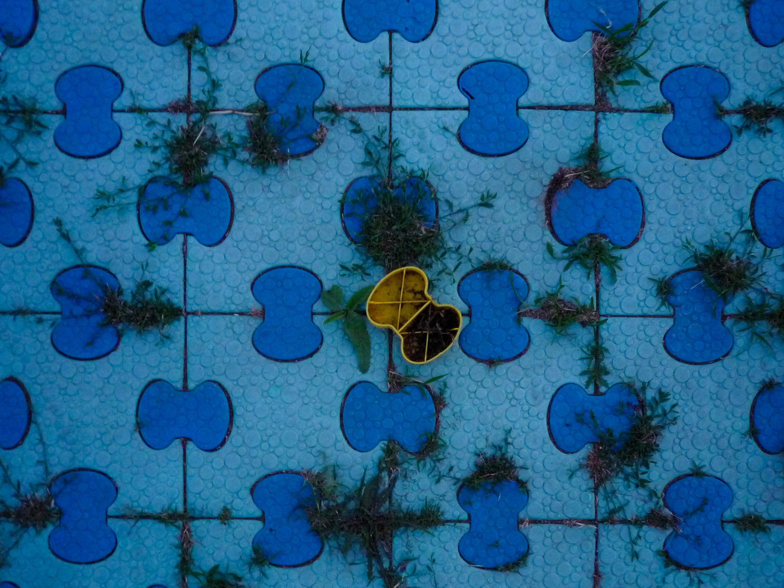 ph: Никита Шумейко