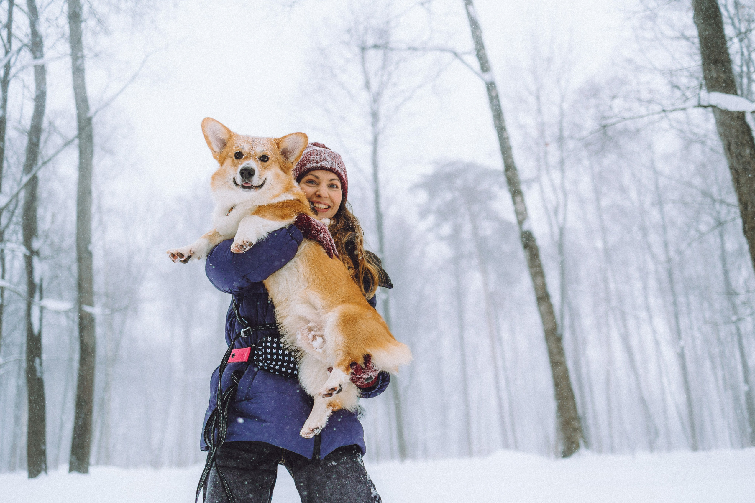 Юля и Юпитер