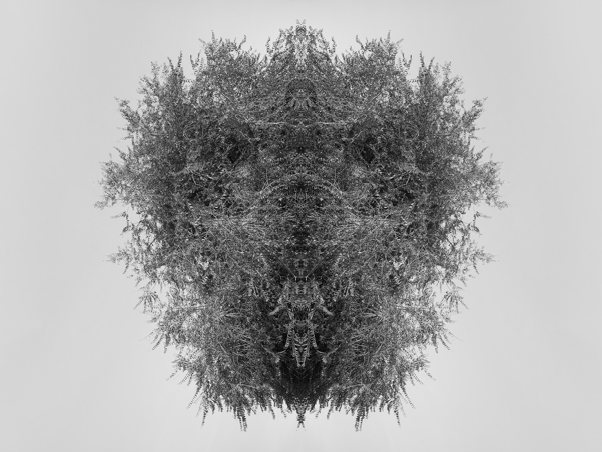 Острова. Анна Порошина — междисциплинарный художник