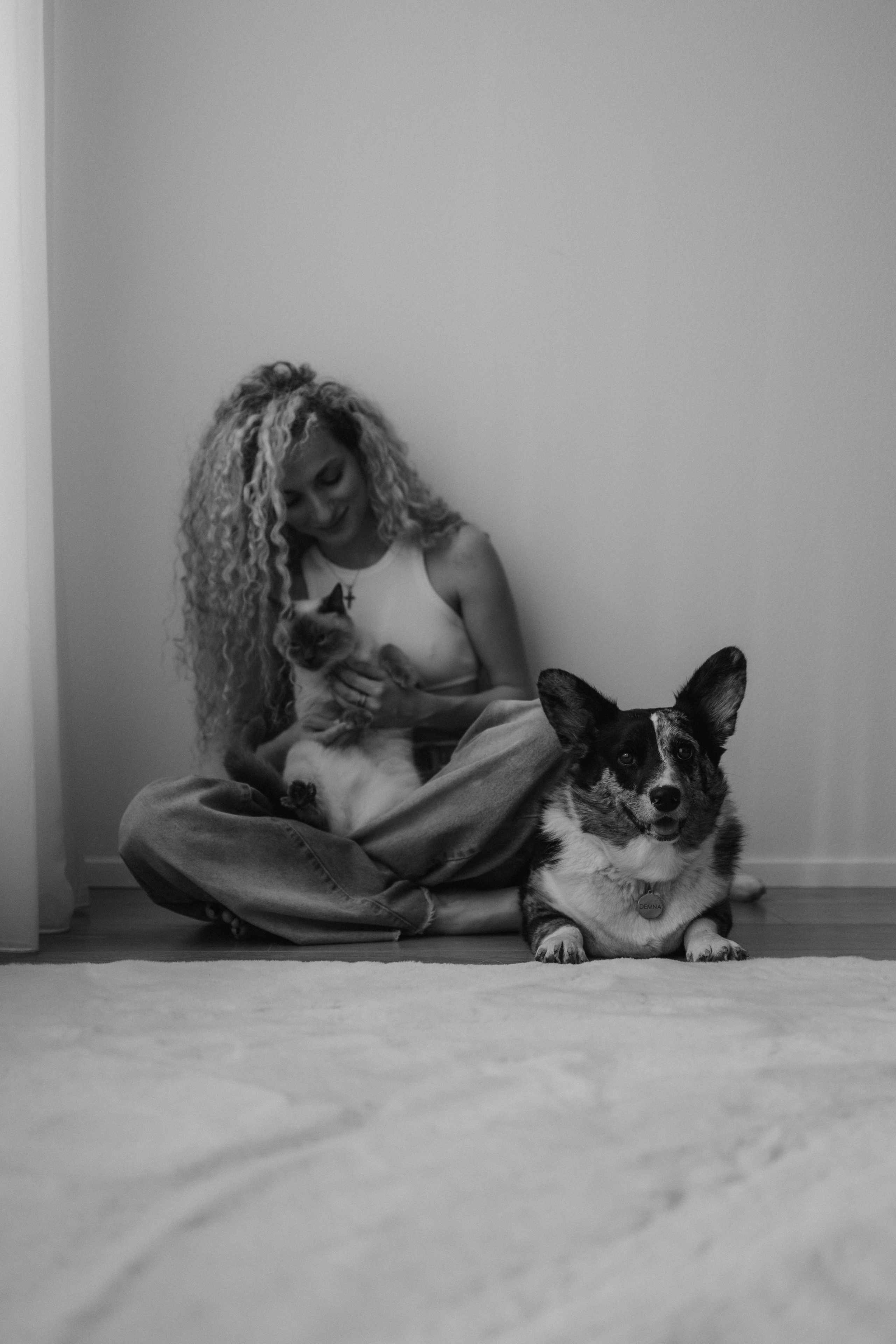 Бэлла, Деми и Луна. Фотораф — анималист Мария Шистка