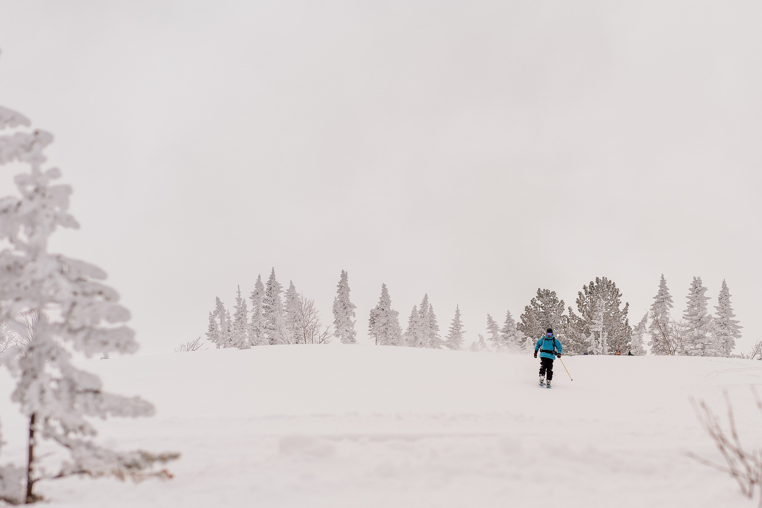 Фрирайд. Анастасия Паршукова — фотограф Шерегеш Новосибирск