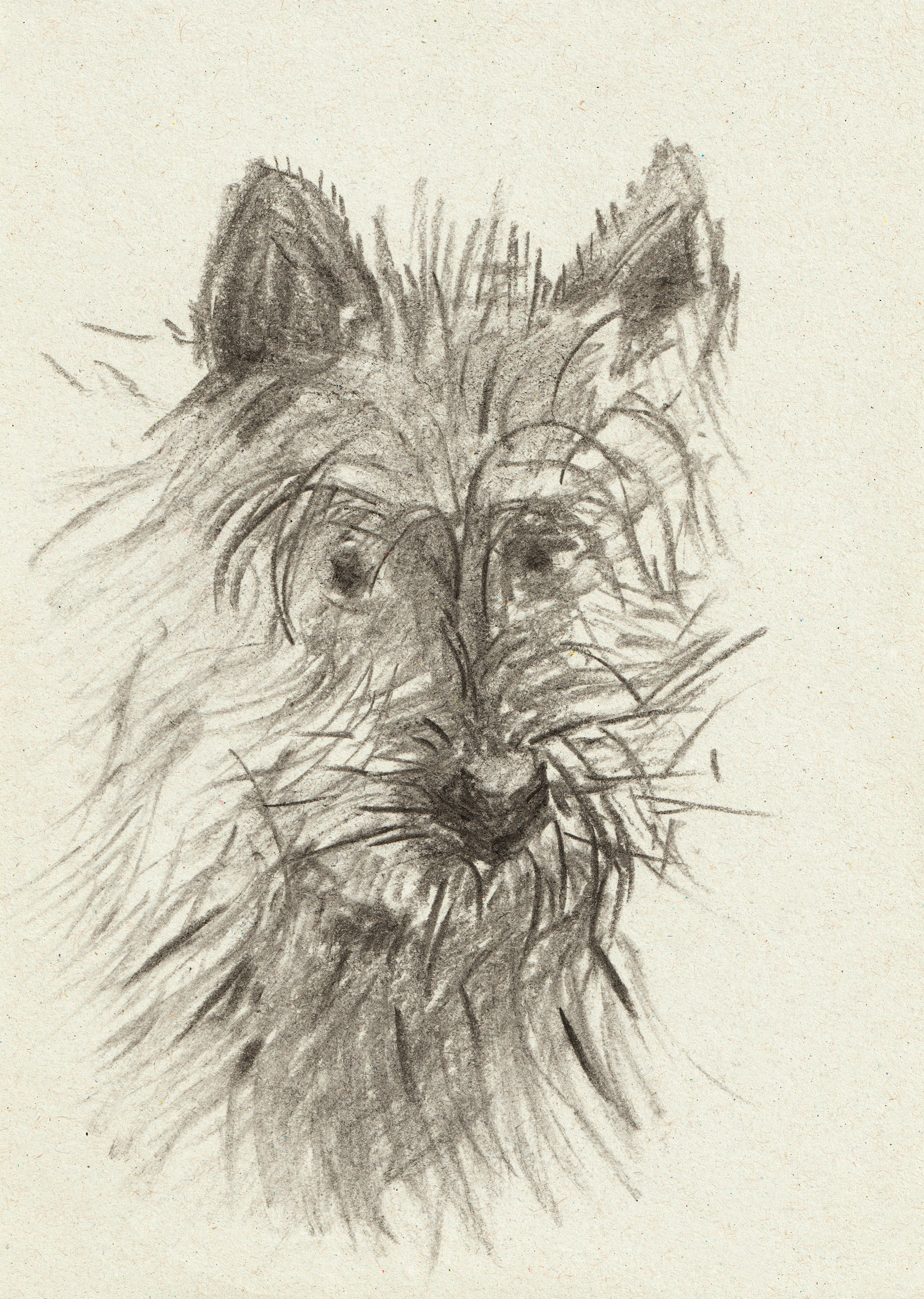 "Дружок" бумага, карандаш 21х15см, 2024