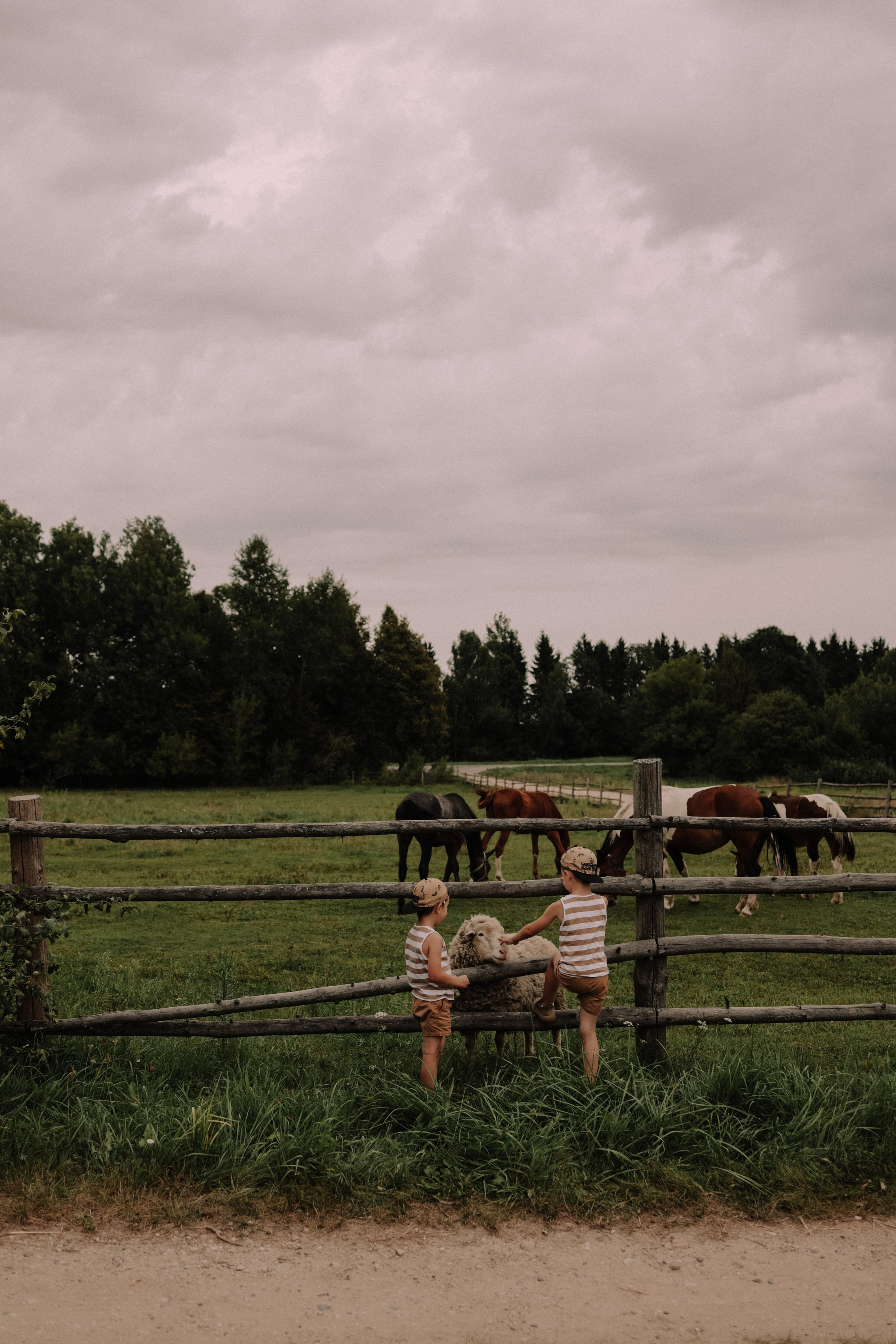 Семейная. Photographer Oseiko Nadezhda