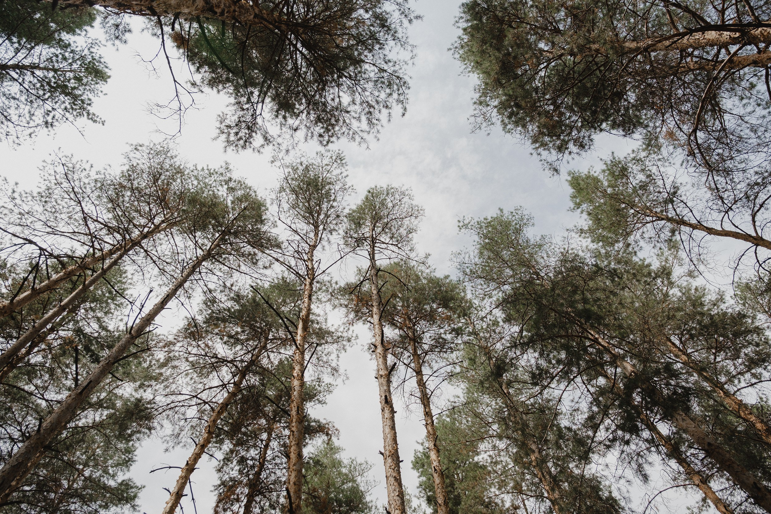Богдан и Юлия. Свадебный и семейный фотограф в Волгограде