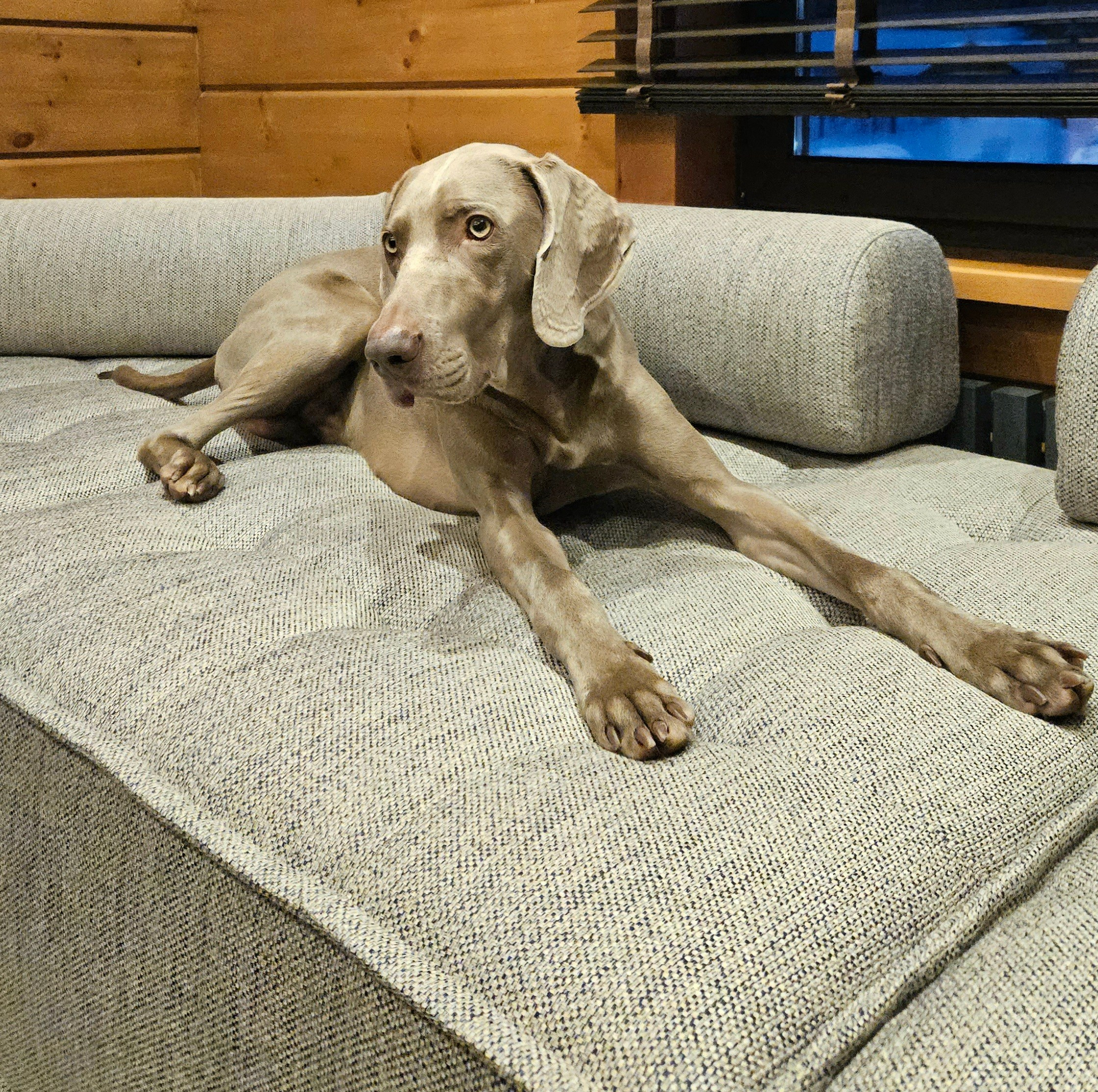 Диван на заказ Изготовление мягкой мебели. Студия интерьерных решений SUNHOUSE. Натяжные потолки, шторы, текстиль