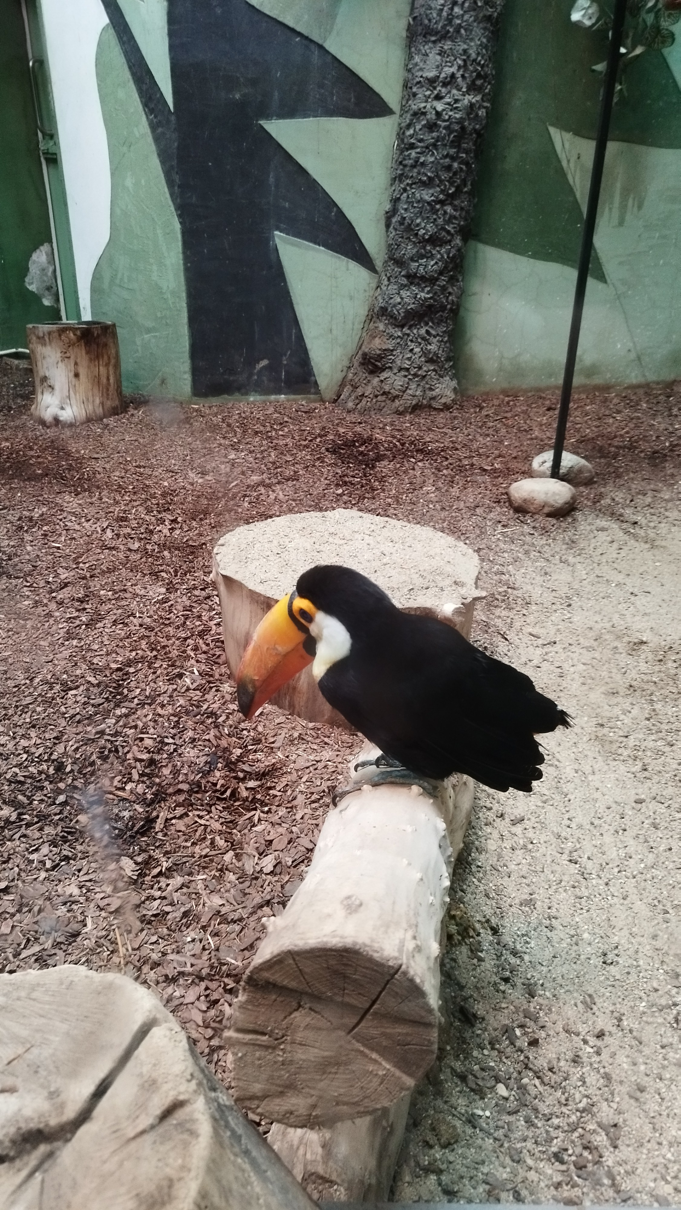 Приглашаем в арт-лагерь в Москве для детей!. Арт-вечеринки и мастер-классы в Москве для взрослых и детей