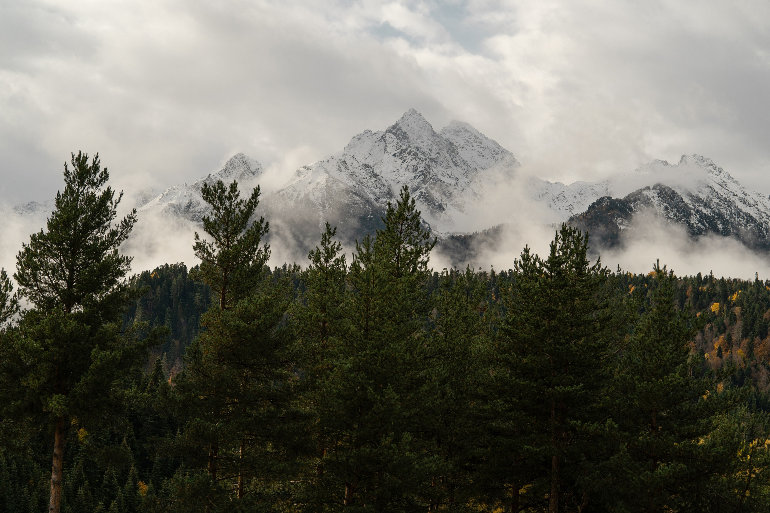 Рахат. Фотограф и видеограф Елена Хмелевская