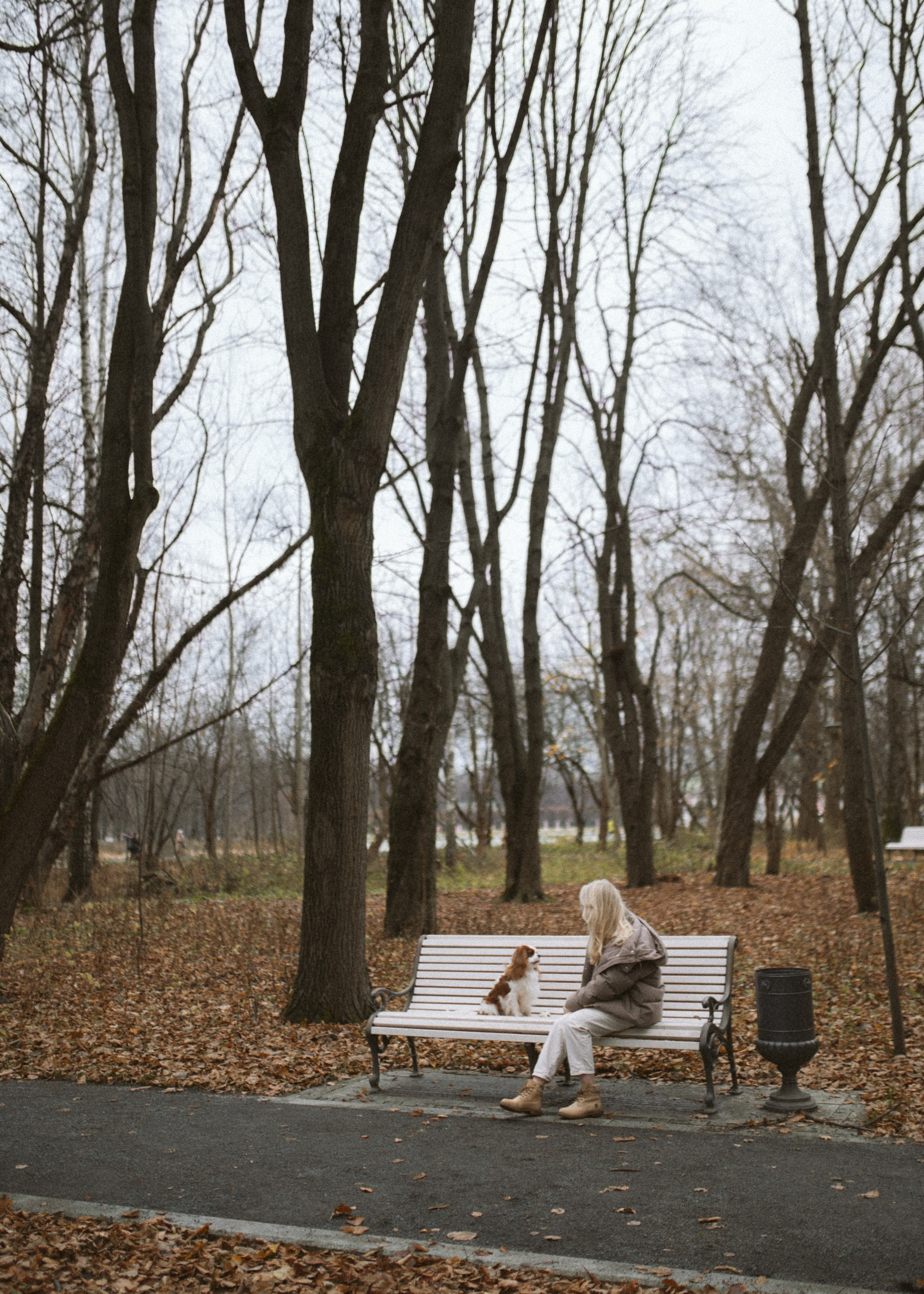Настя и Тэйлор. Фотограф анималист в Москве Ольга Агушева