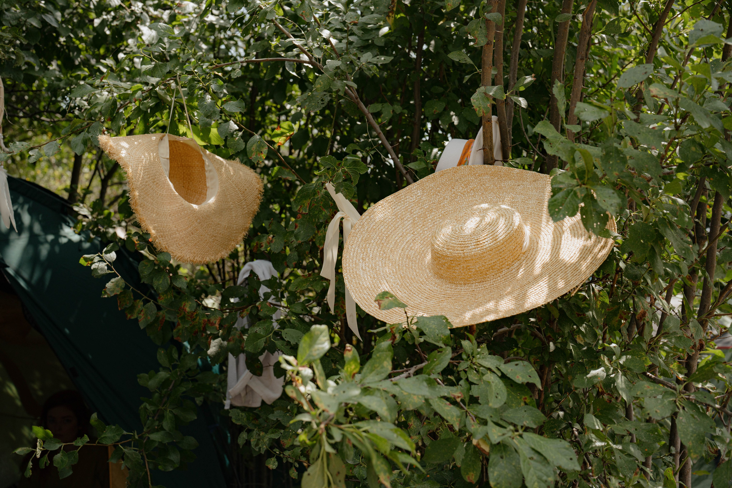 ASS FAMILY | СОН В ДЕРЕВНЕ | АВИАРЕЖИМ 8.0