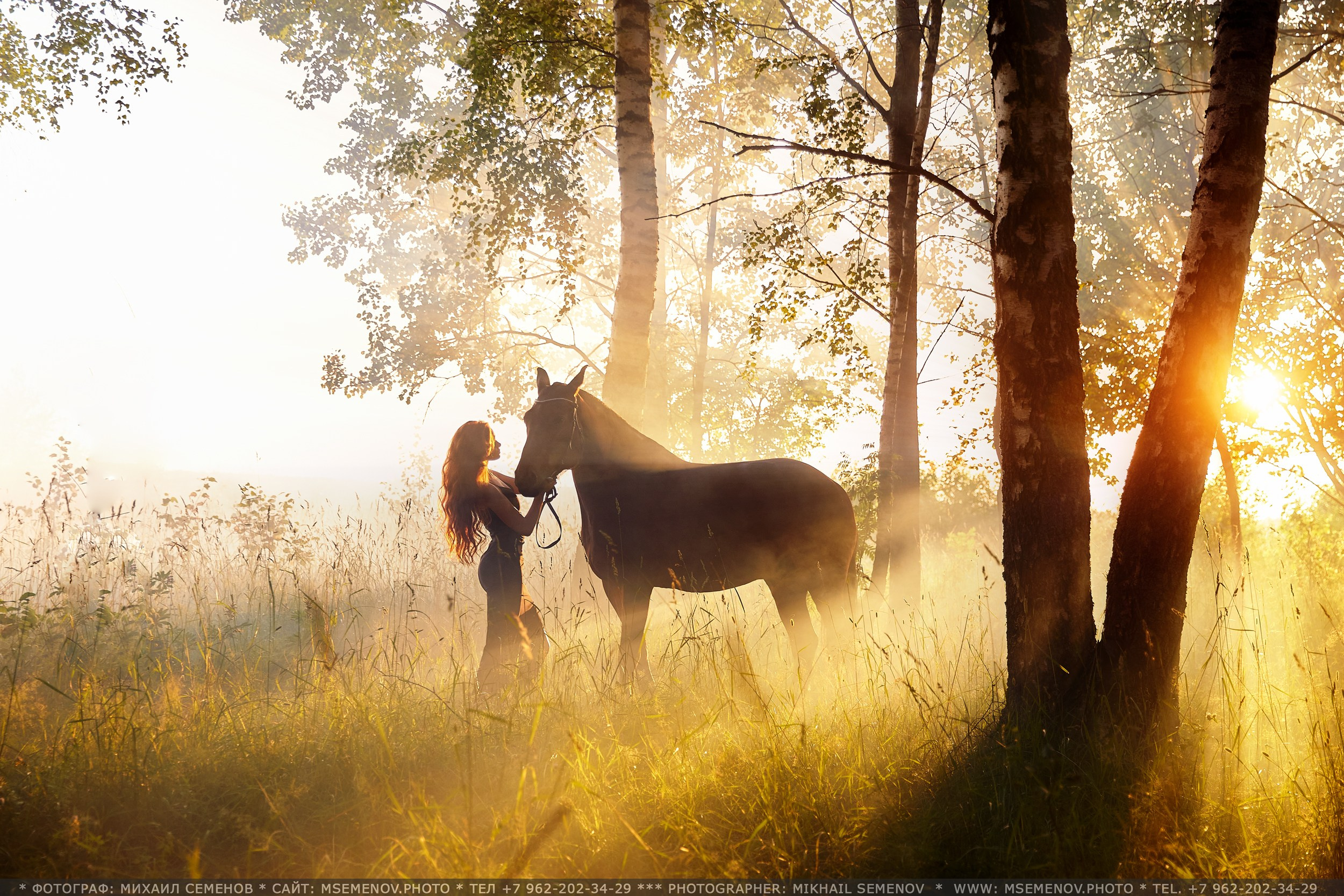 Фотосессия с лошадьми, Фотограф Михаил Семенов г. Ярославль