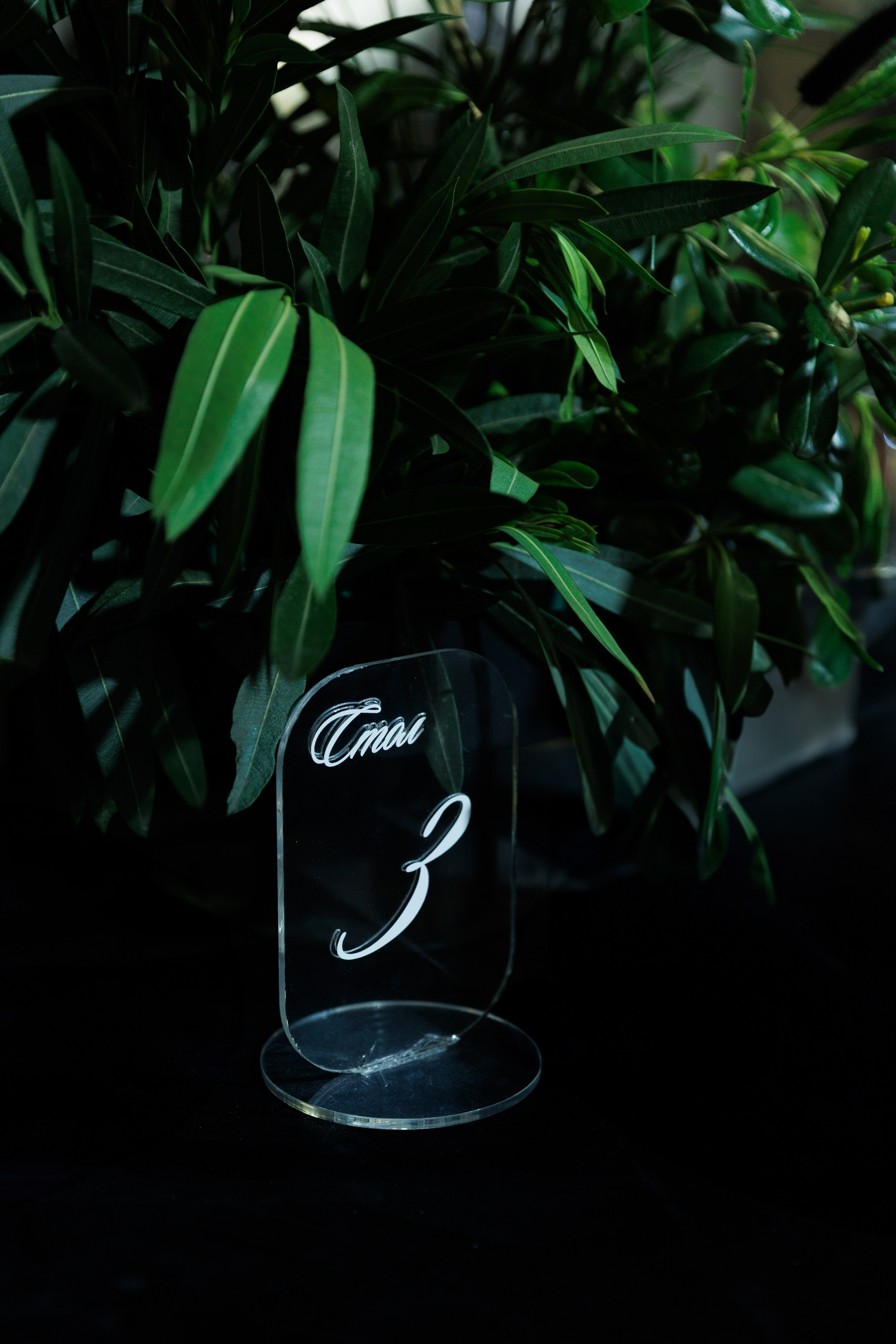 Алина&Павел. Свадебный фотограф в Ростове-на-Дону Базарова Анастасия