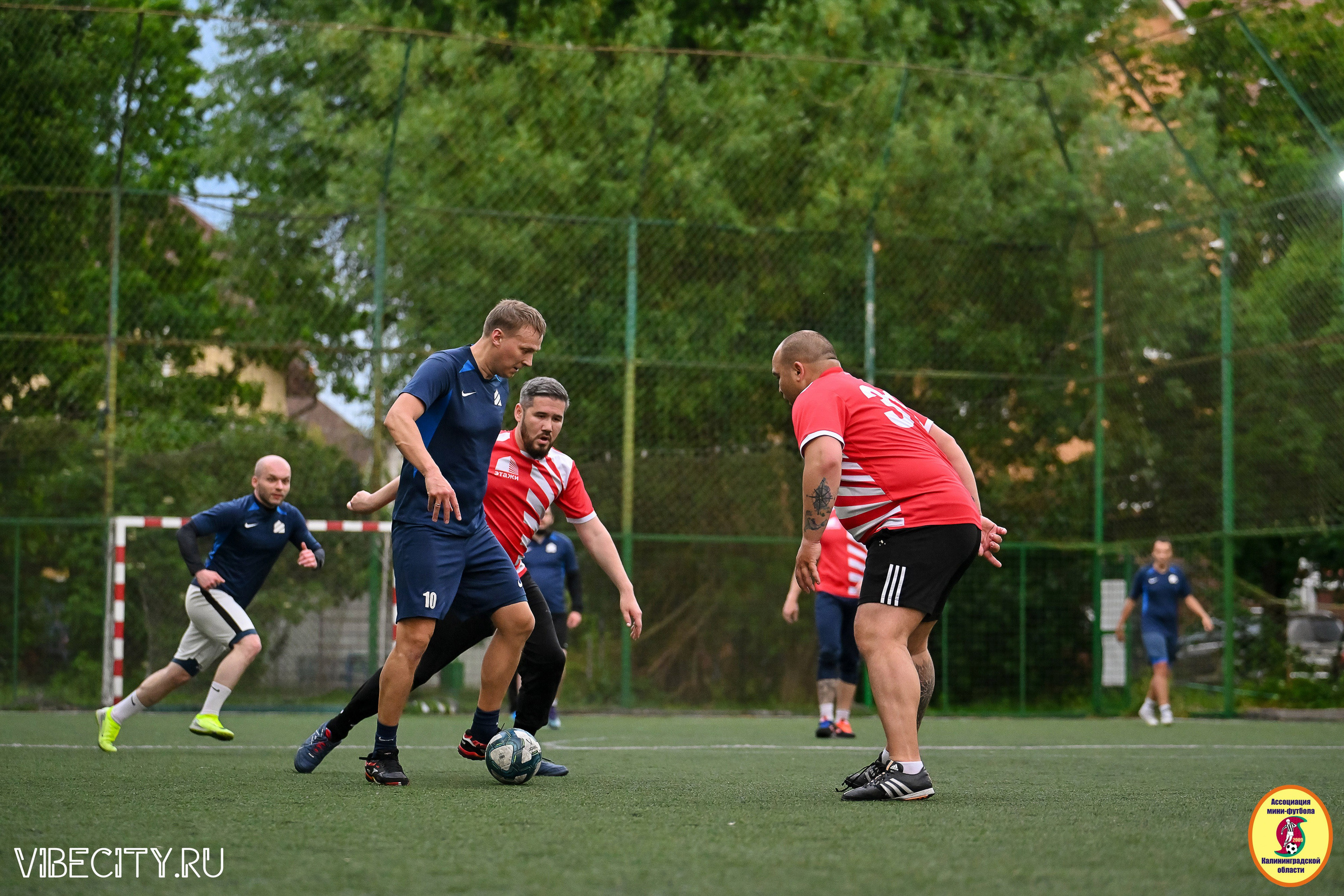 ИГРЫ МИНИ-ФУТБОЛЬНОЙ И КОРПОРАТИВНОЙ ЛИГИ. VIBECITY.RU Вайб Сити Ру Фоторепортажи Фотоотчеты Калининград