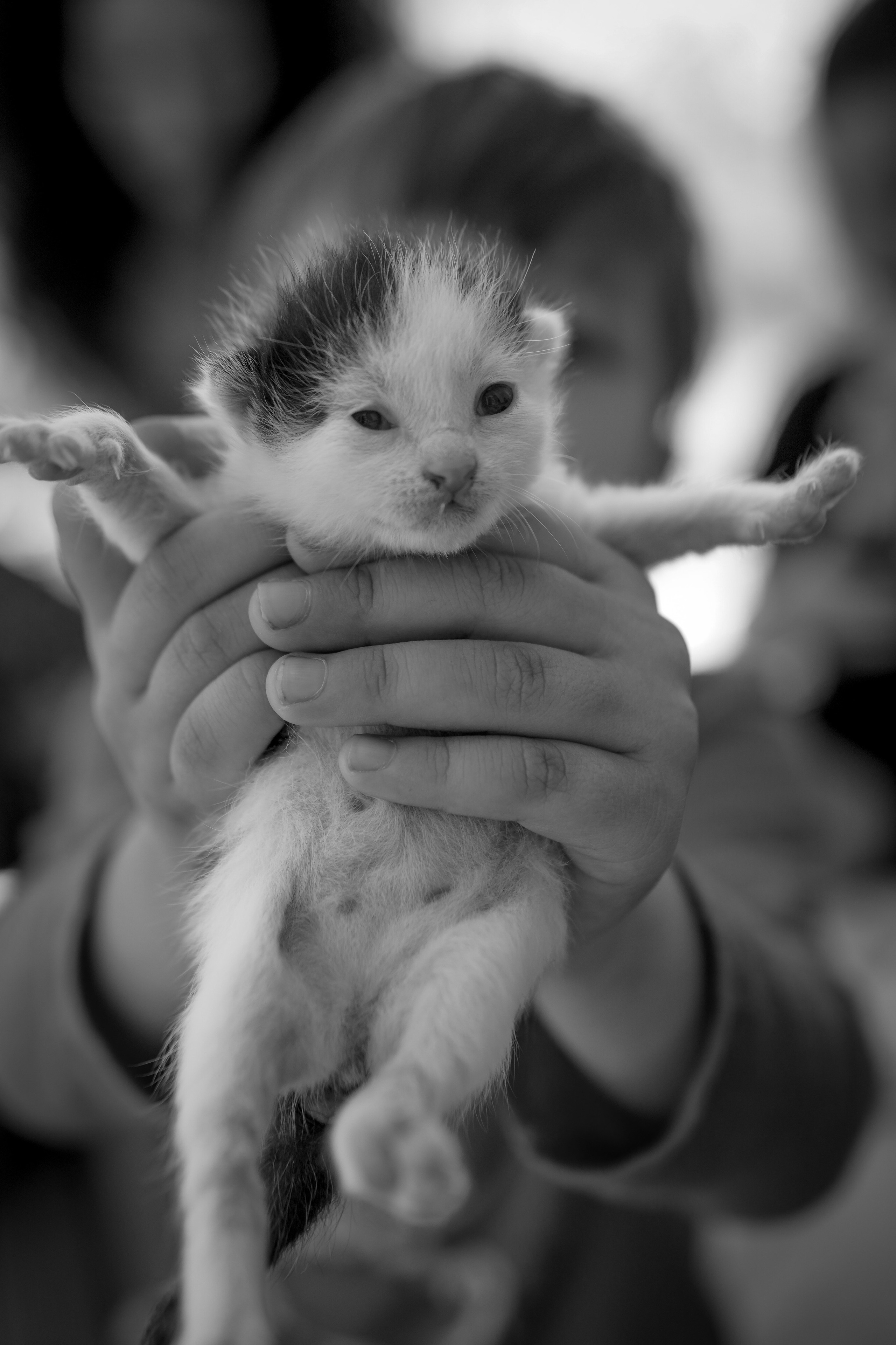 Лиля и дети. Семейная фотосессия дома. Фотограф в Крыму