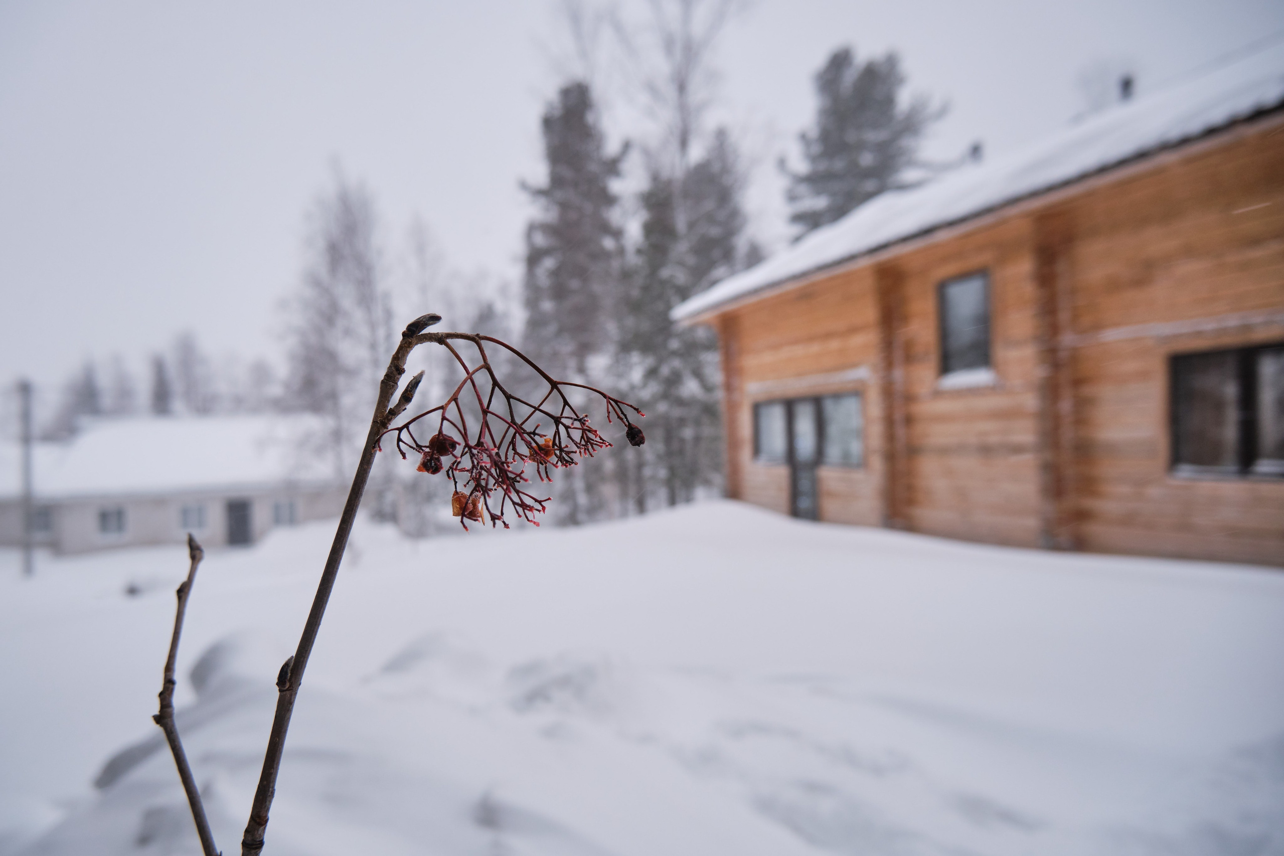 Ключевая 1. Свадебный и семейный фотограф в Новокузнецке Иван Иванов