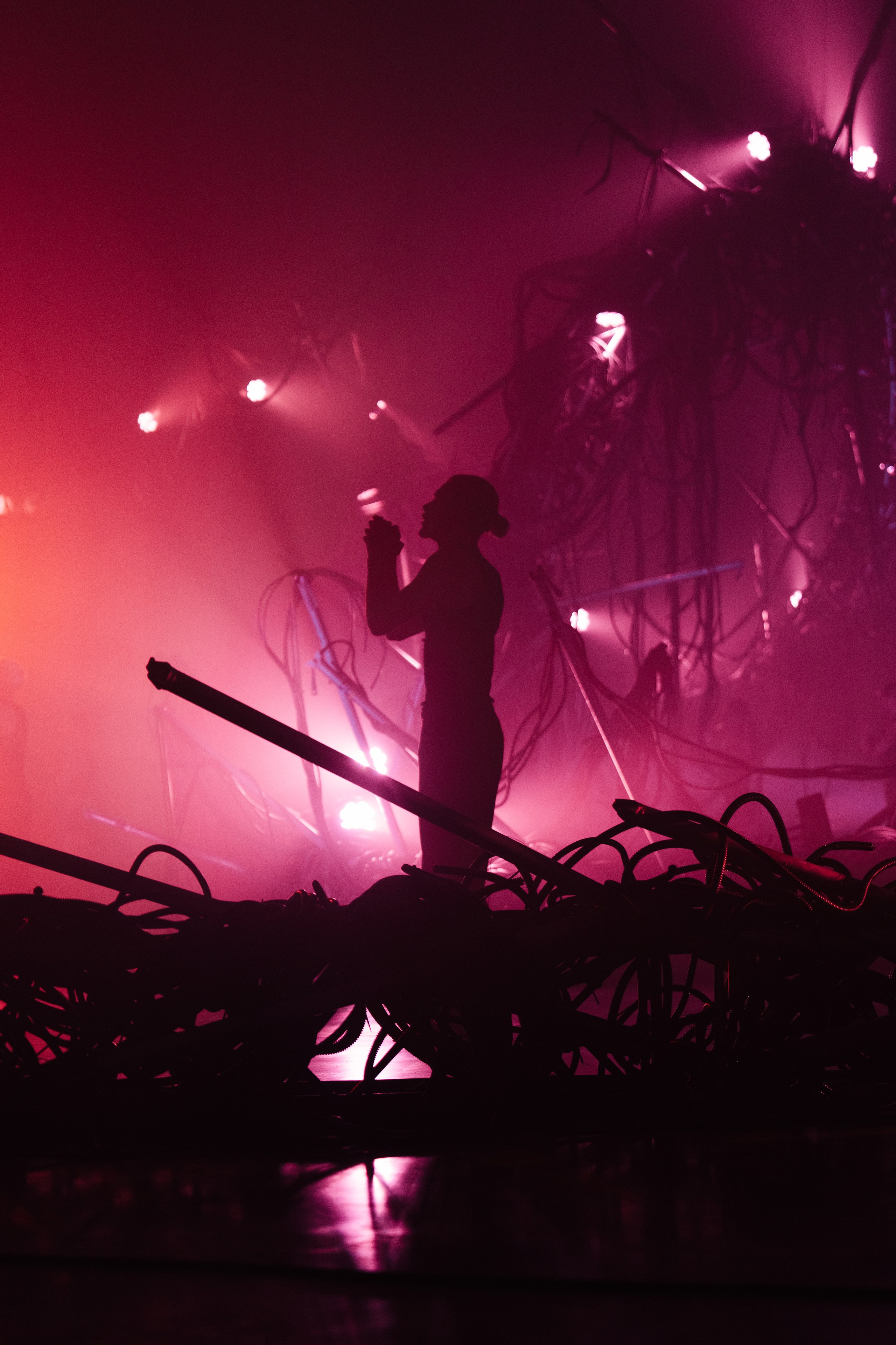 PERFORMA, The Hour of the Horse. @tomrus: Рустам Шагиморданов — фотограф