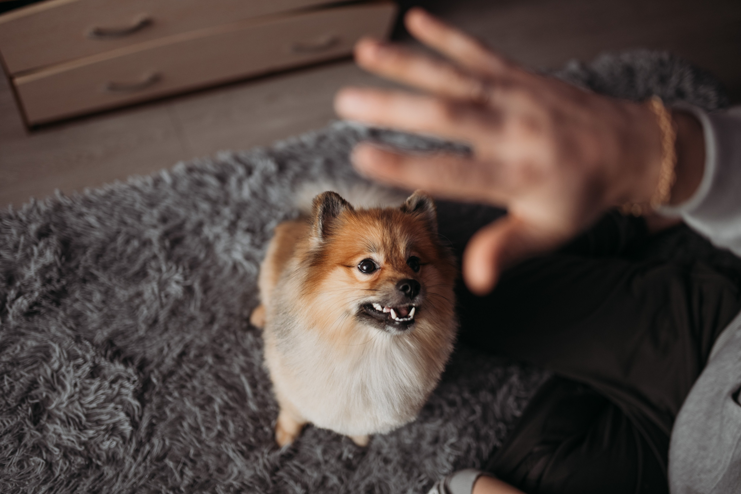 Алла, Руслан и Тимур. Фотограф г. Хабаровск