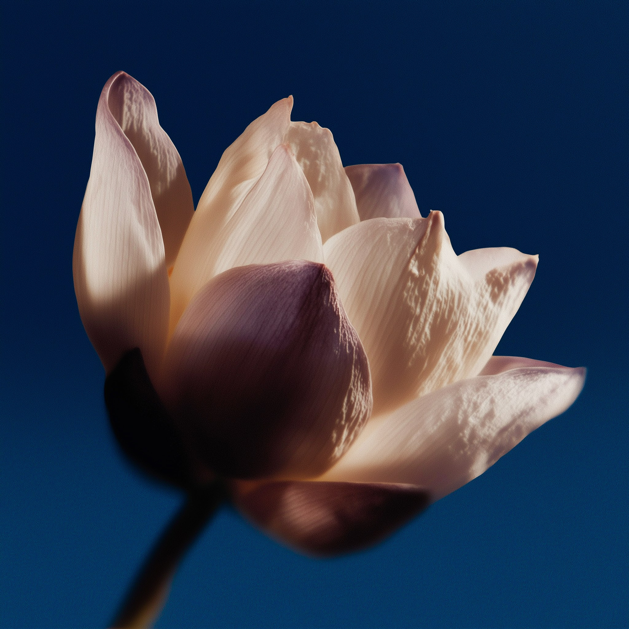 AI — artist | Documentary Photographer St. Petersburg, Milan