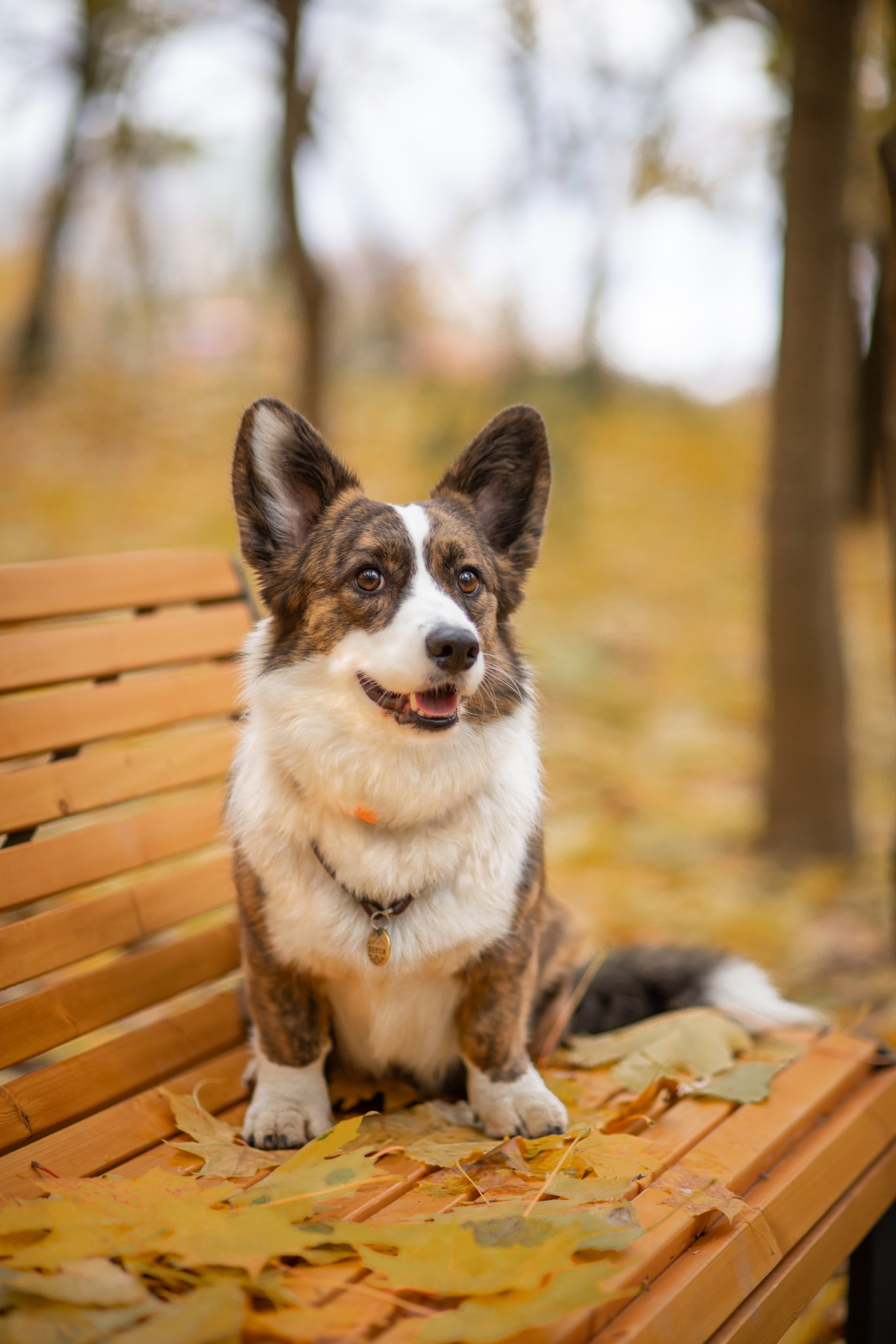 Михаил и Ксения. Детский и семейный фотограф Мария Киселёва. Москва