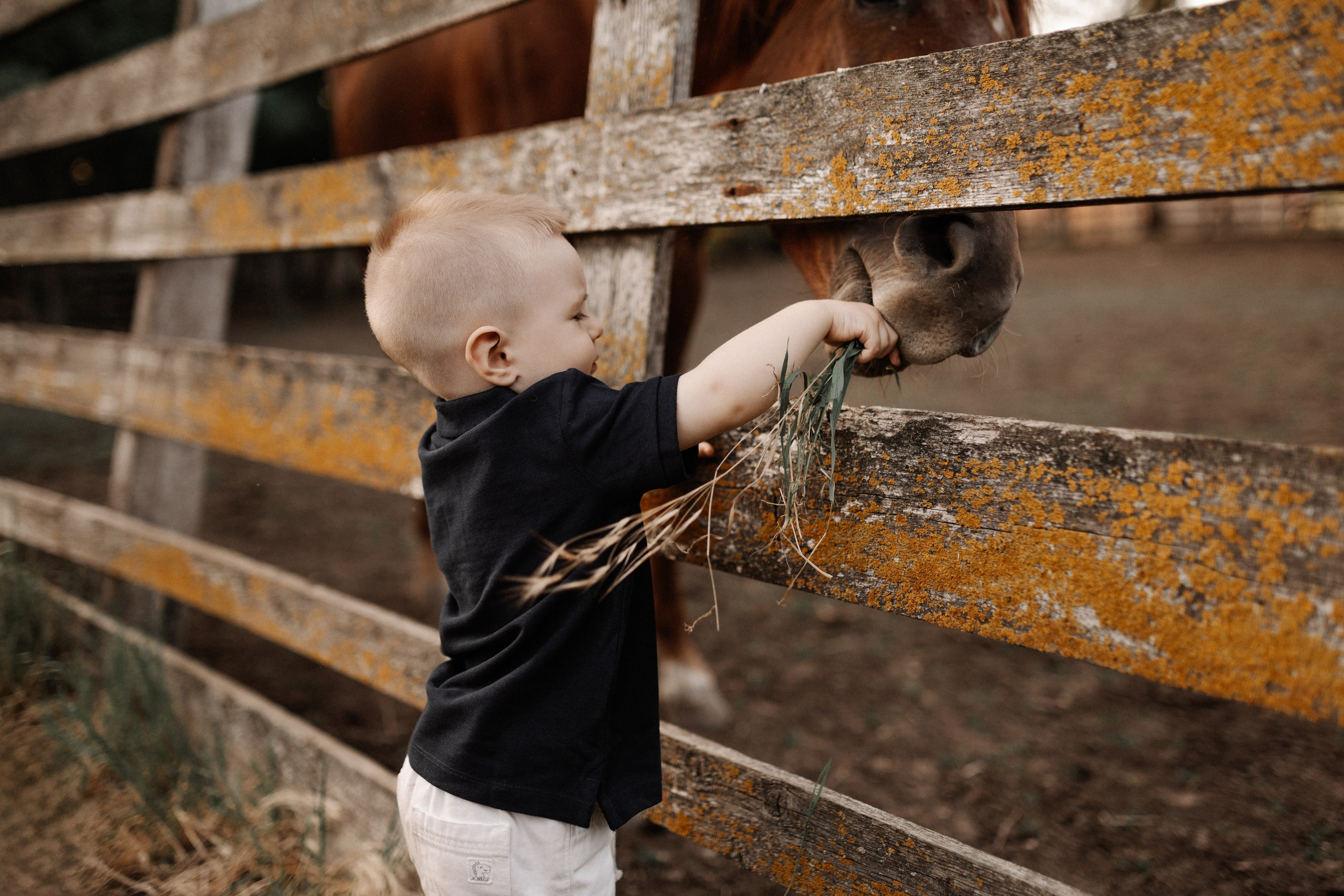 Лена, Кирилл и Арсений. Семейный фотограф в Краснодаре Виктория Кокоулина