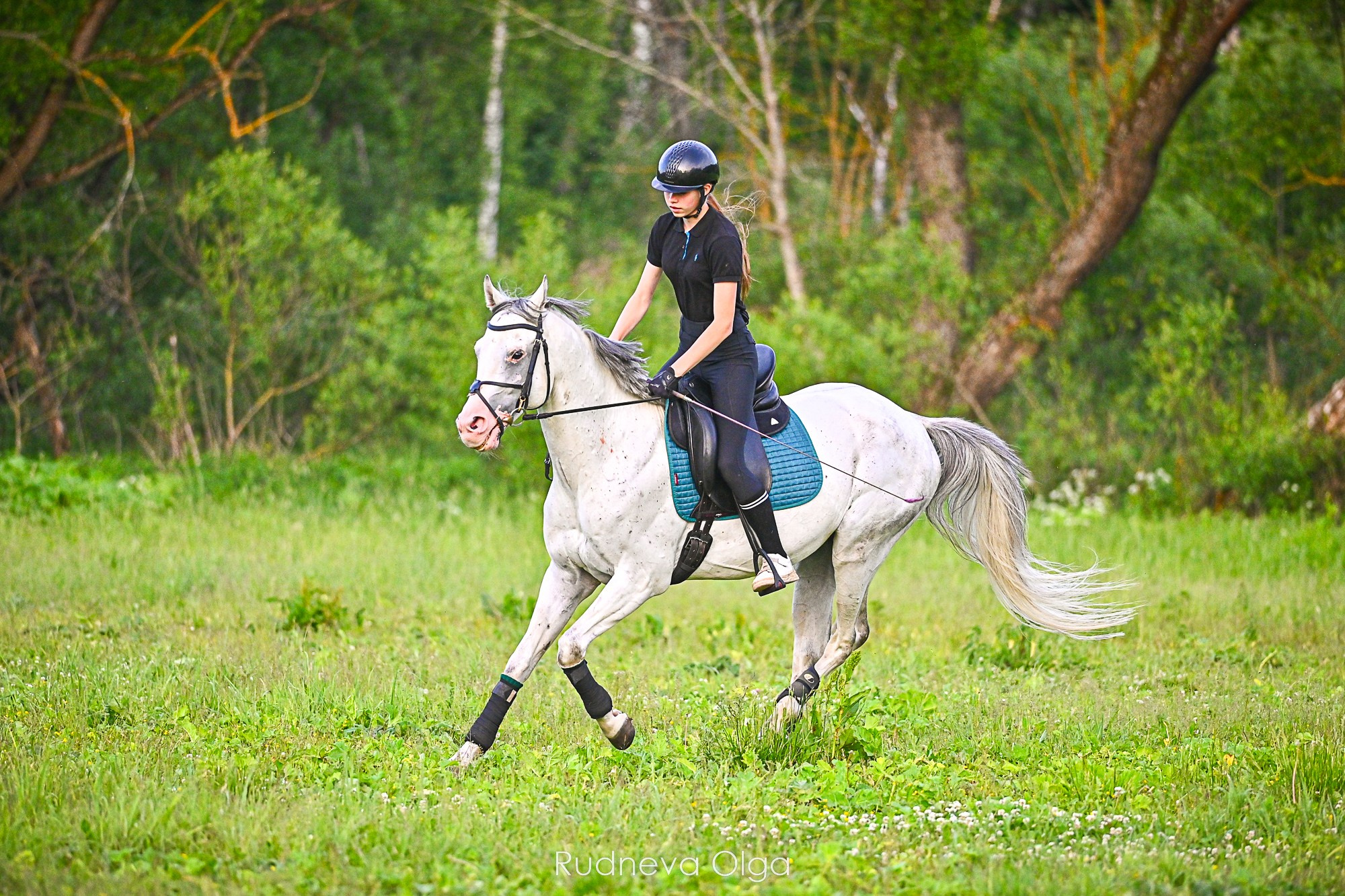 Тренировка КСК Сынково. ТУРНИРНАЯ КОННАЯ ФОТОГРАФИЯ, Руднева Ольга и Евгений Адеев