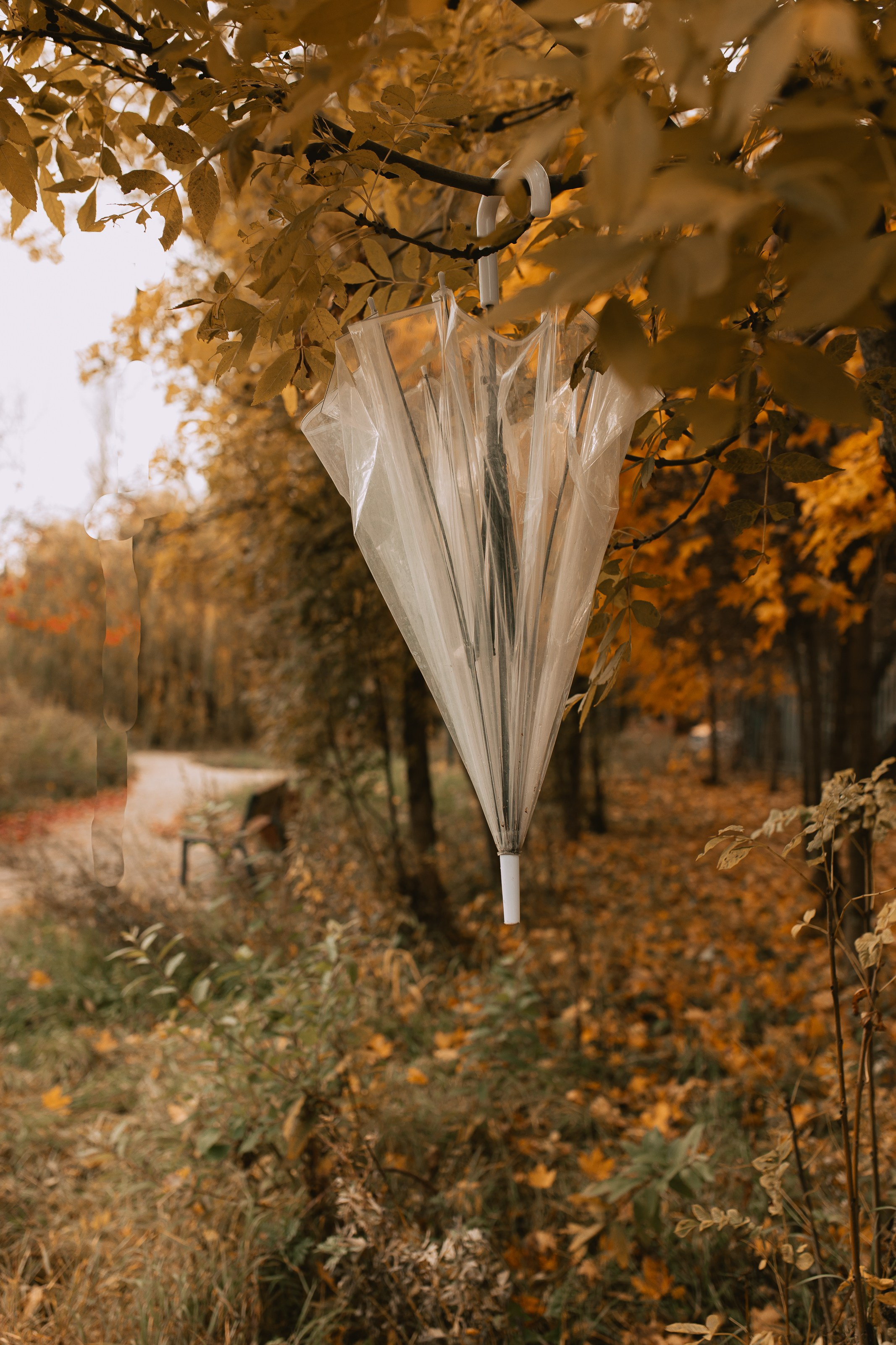 Ксения. Портретный и семейный фотограф в Москве Ирина Голубчина