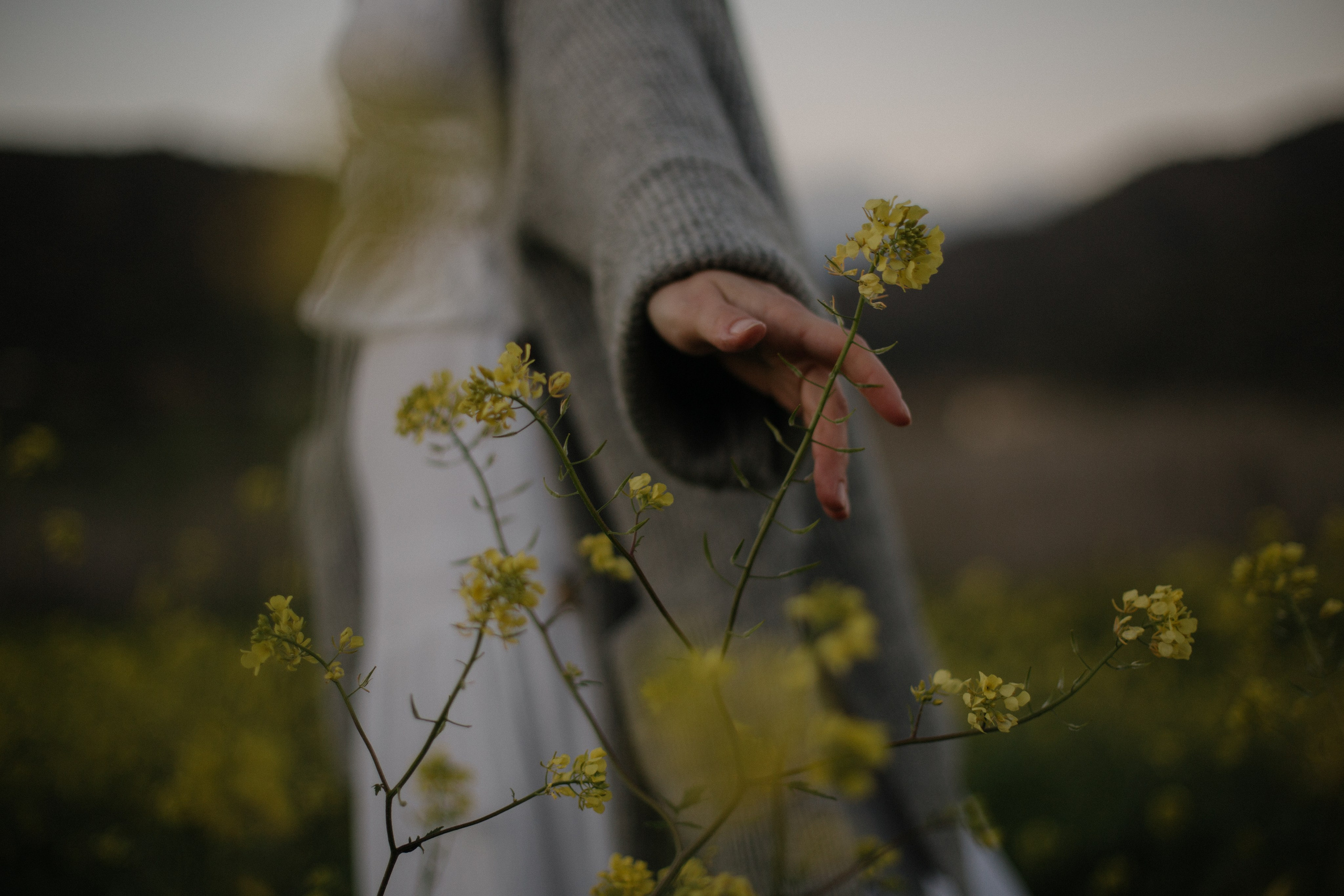 Veta. Portrait, family and pet photographer in Cyprus, Ksenia Bourdelle