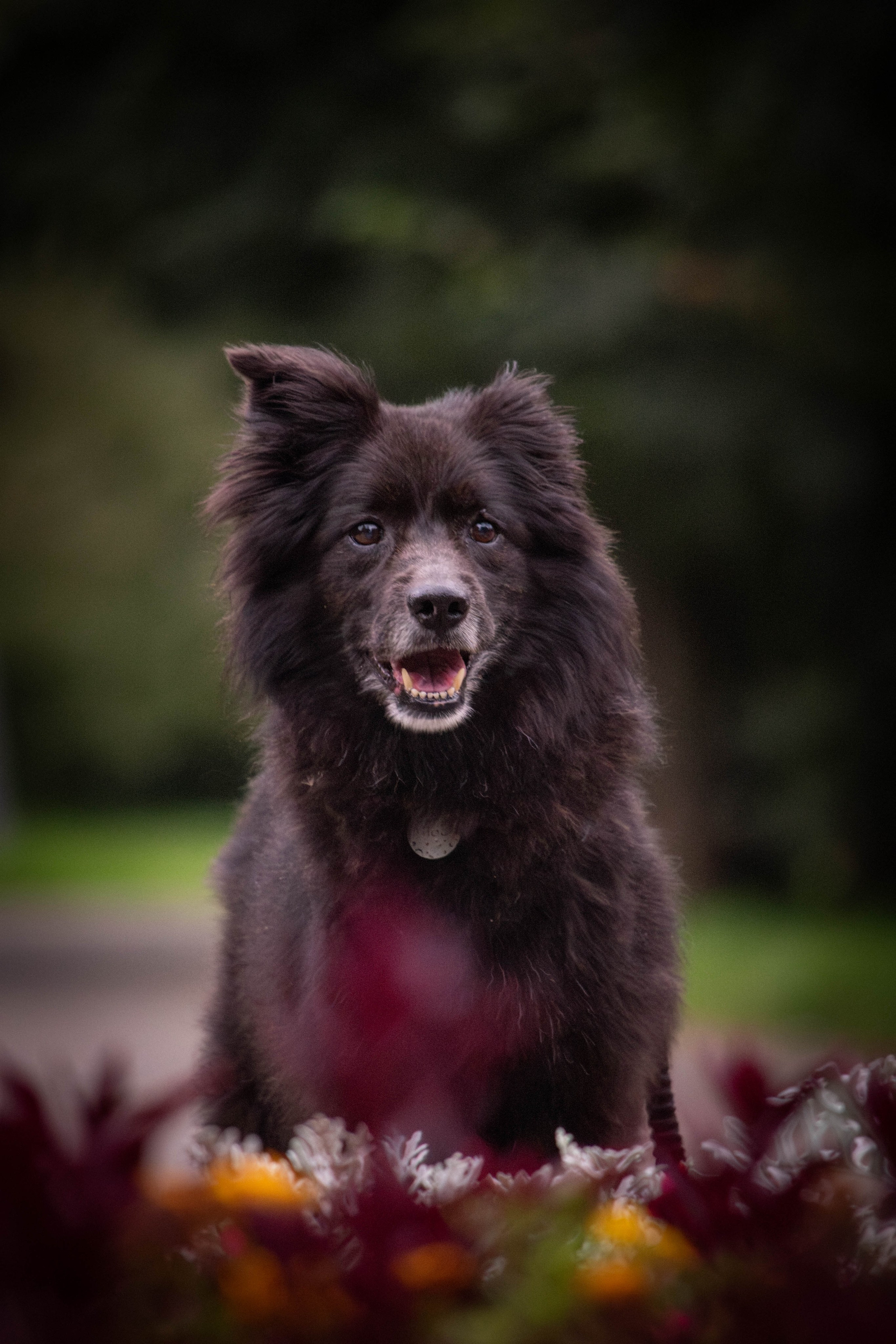 Альба и Даша. Фотограф Светлана Блинова, Москва и Московская область