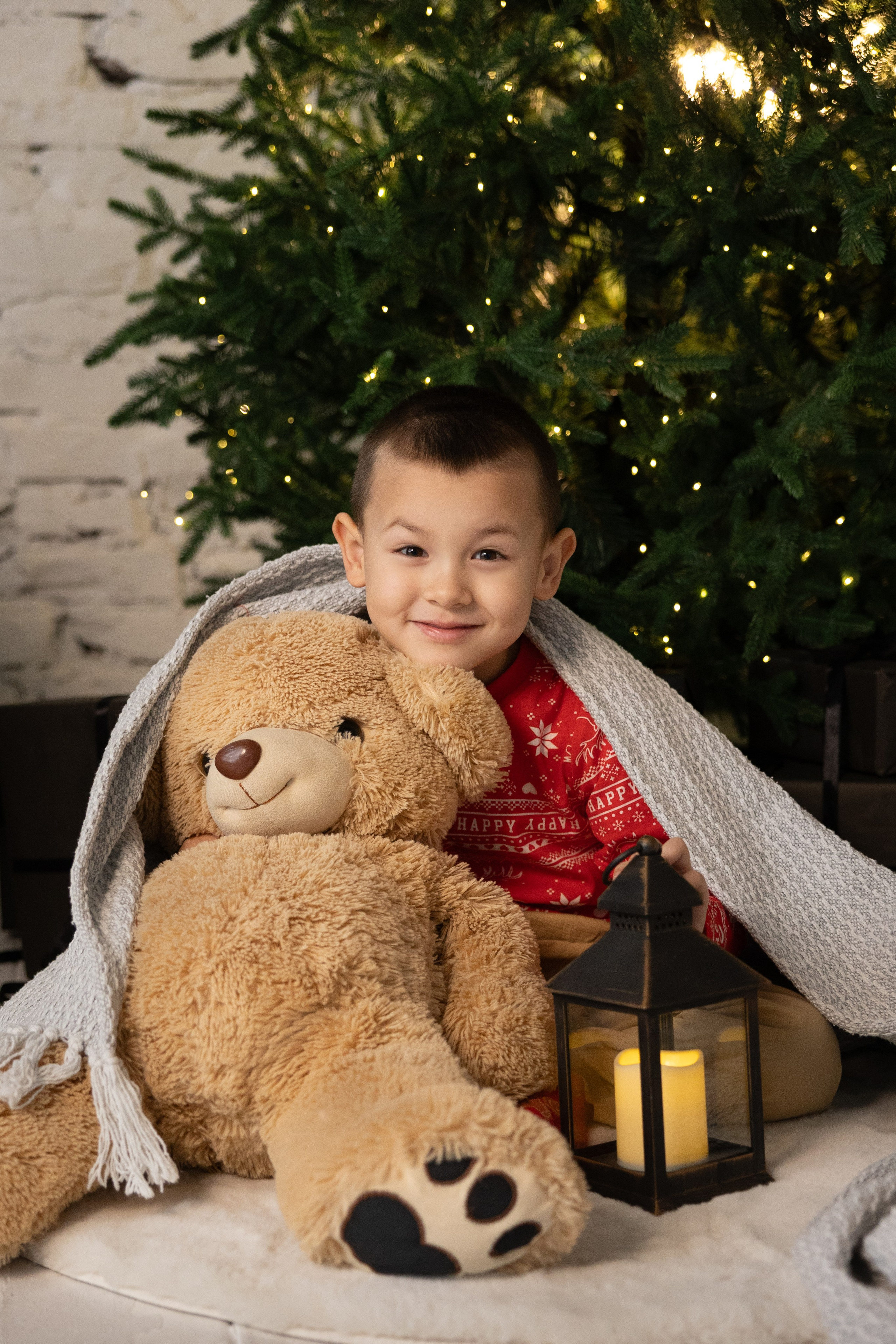 Новогодние. Фотограф Новосибирск, Академгородок, Бердск — Айна