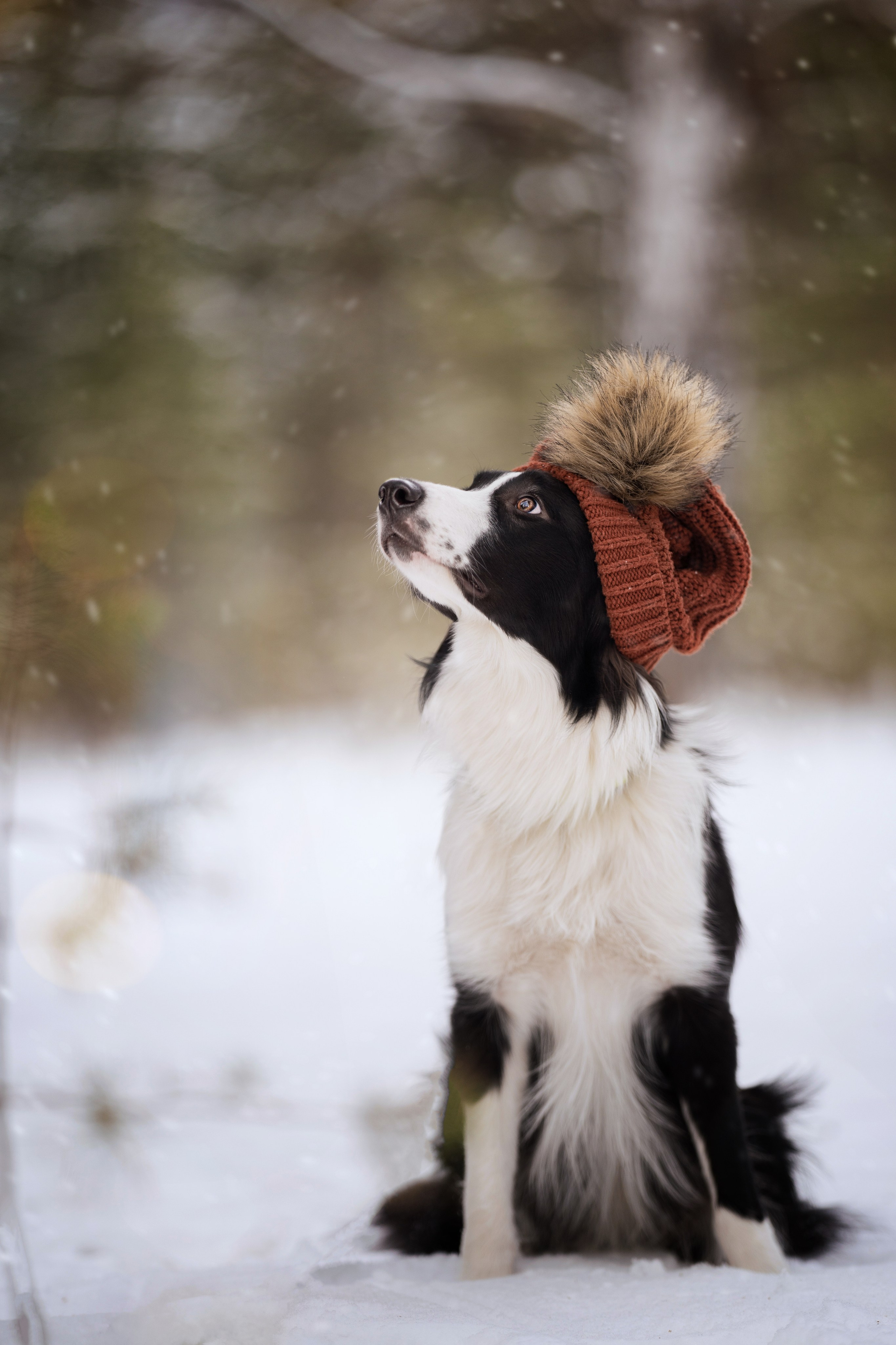 Близзард. Kameramotor74